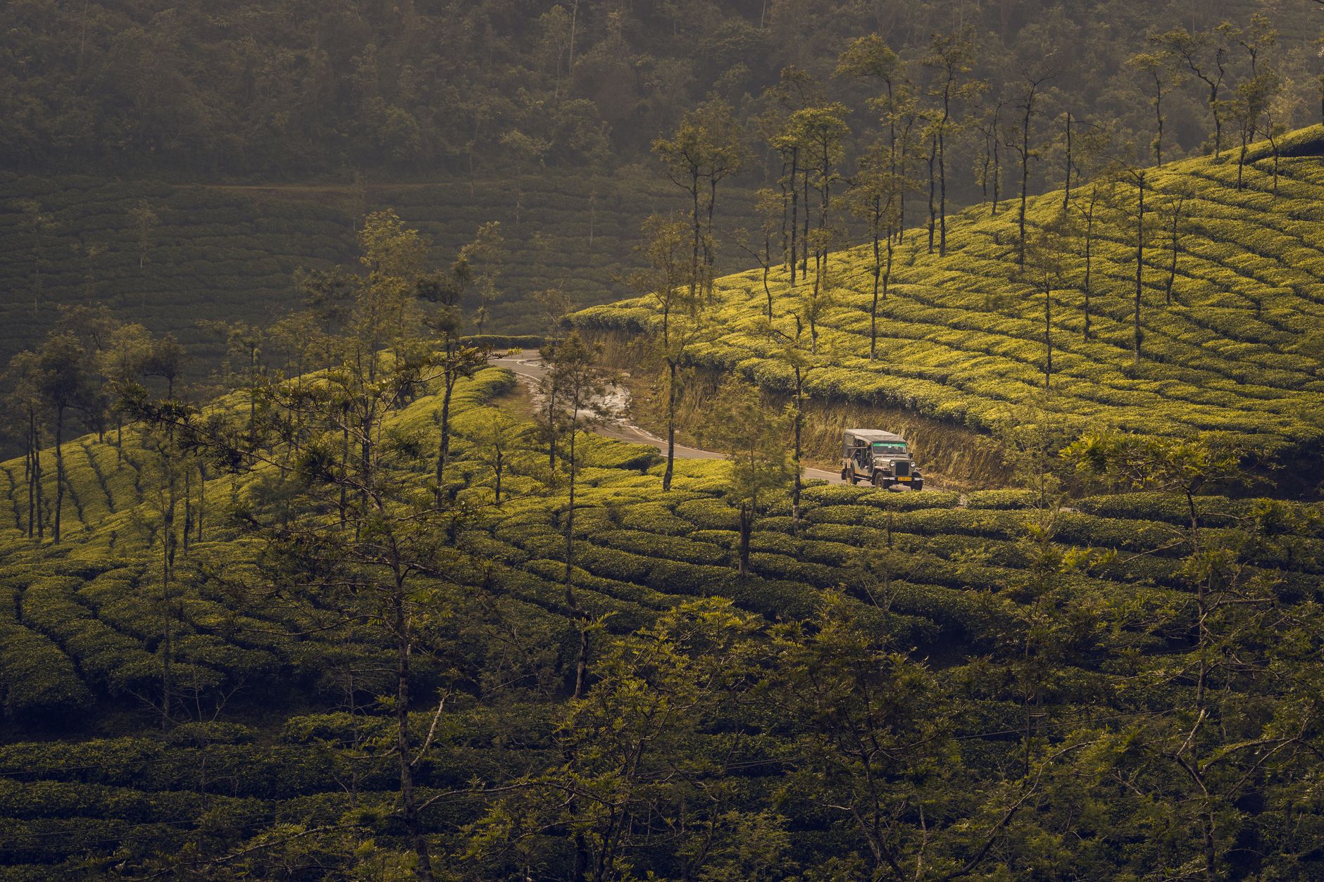 Merchandise Shoots Amid Munnar's Mist