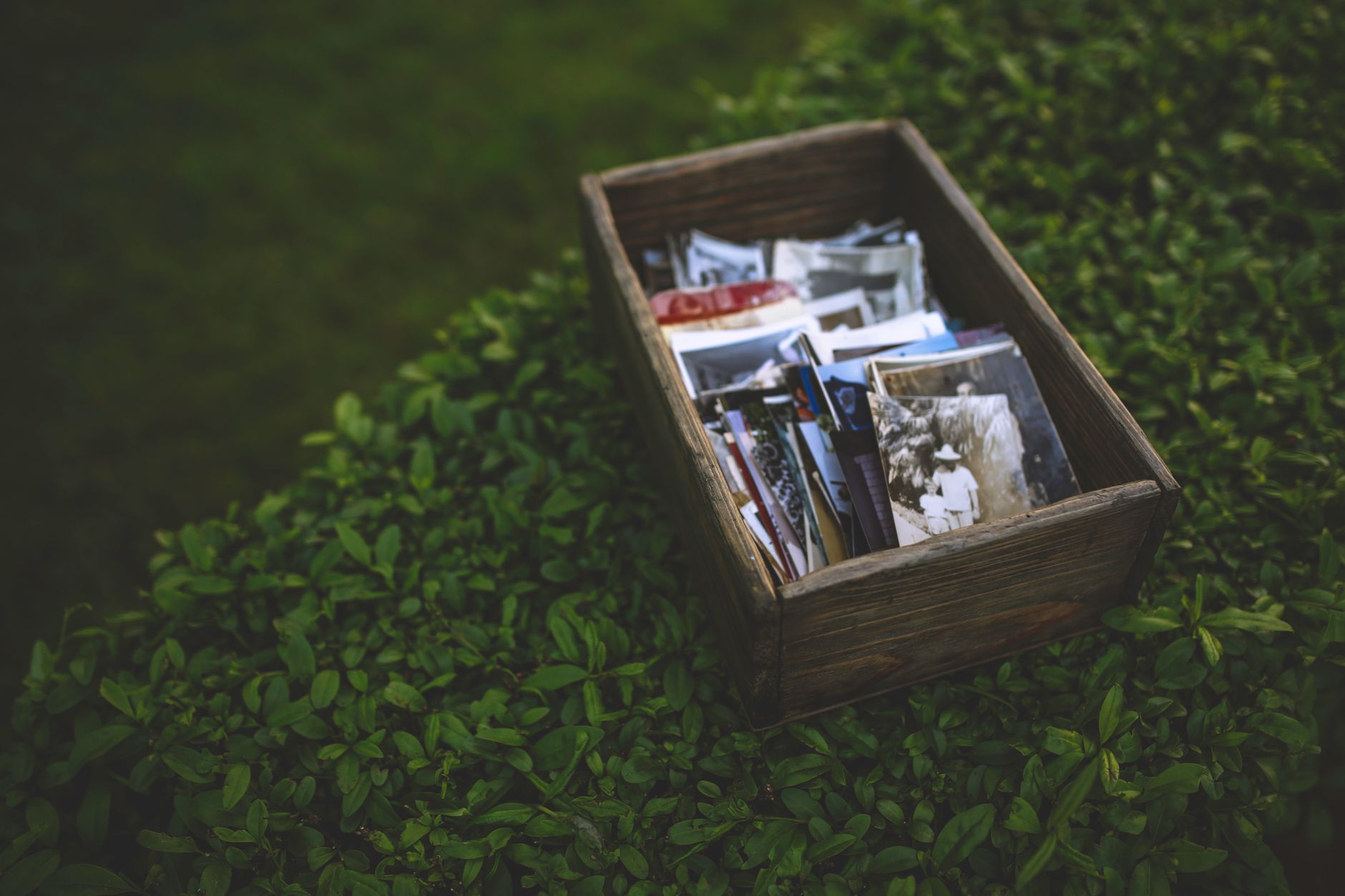 Print Your Munnar Memories Instantly