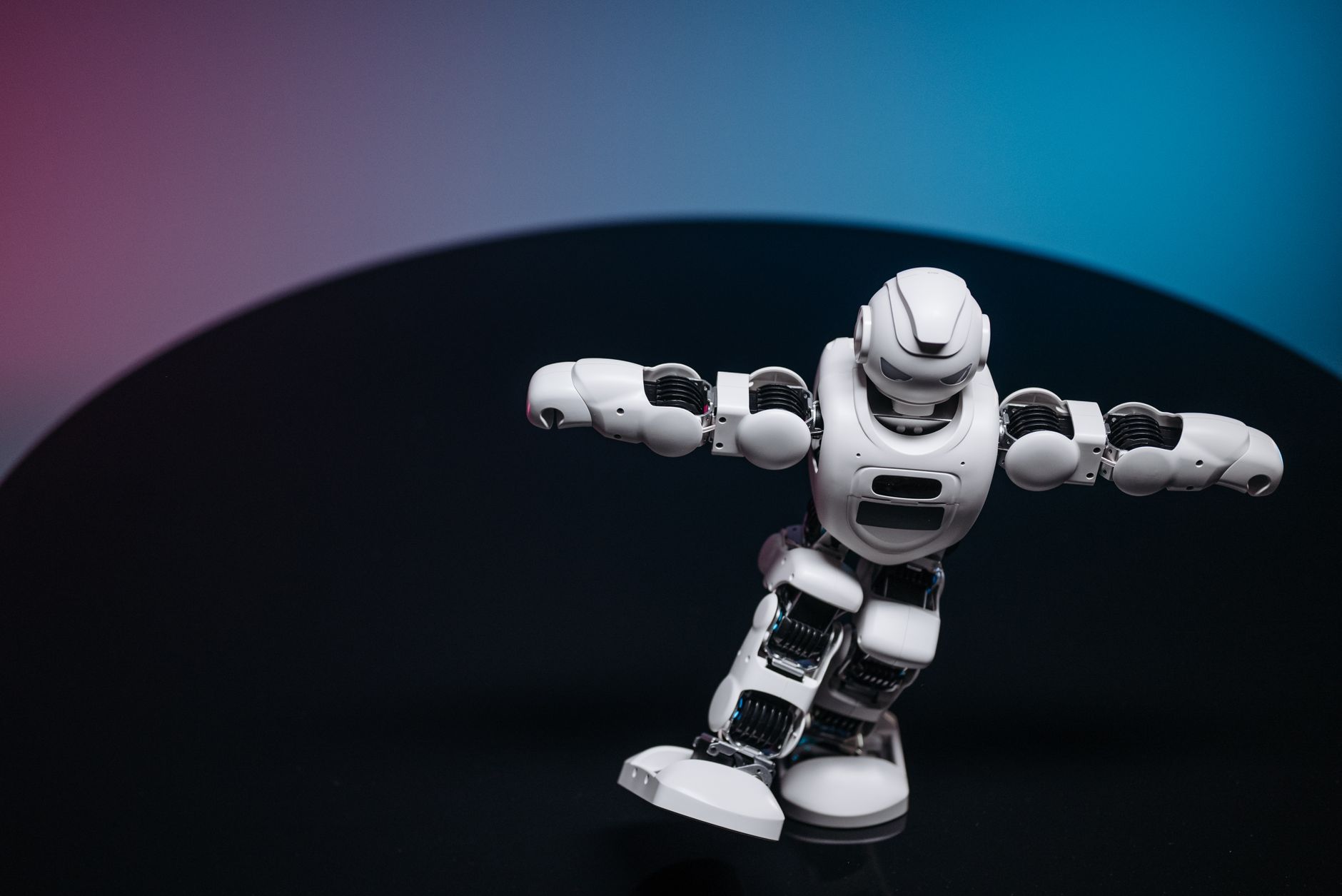 Celebration Robot Service