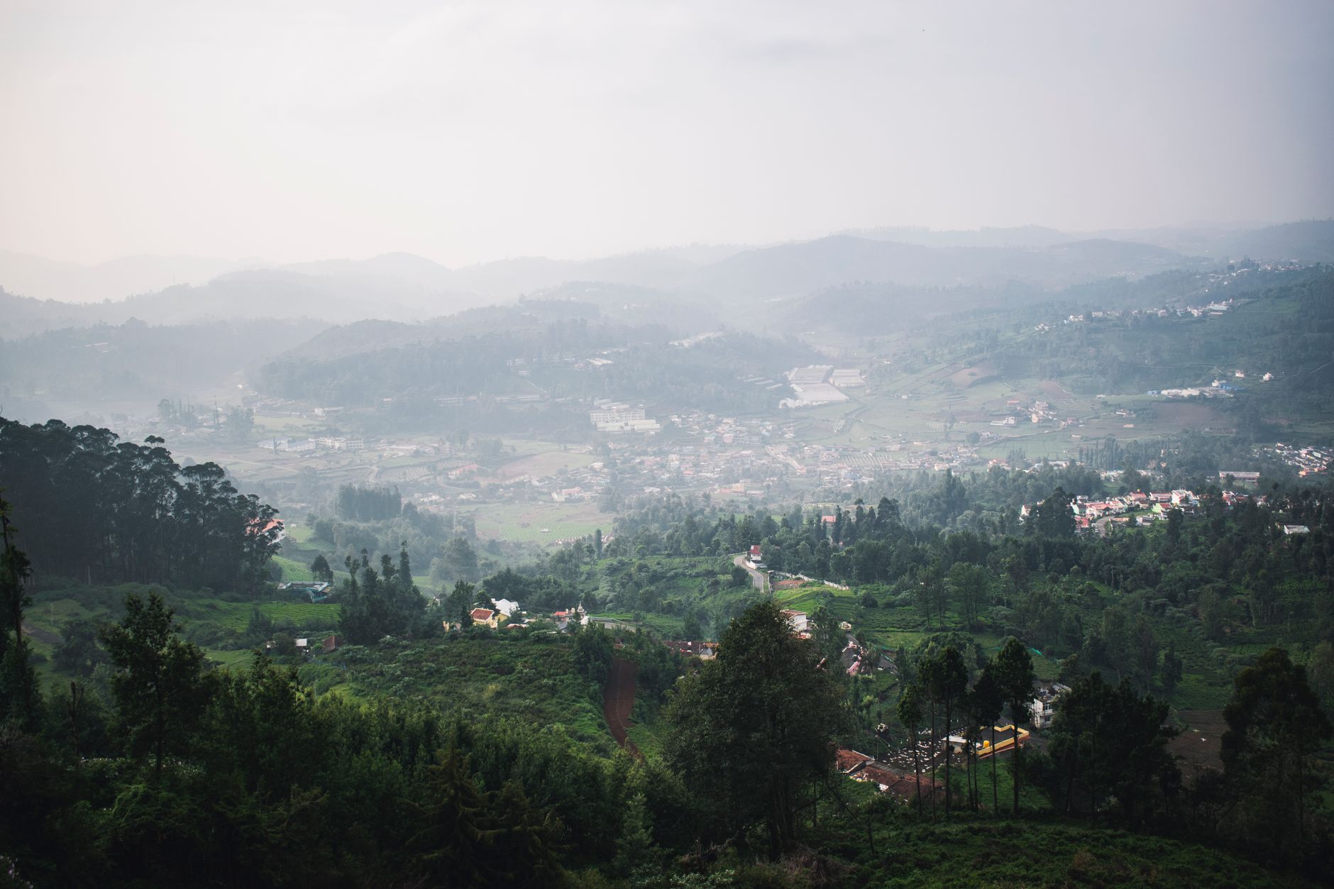 Voice Memories from Munnar's Misty Hills
