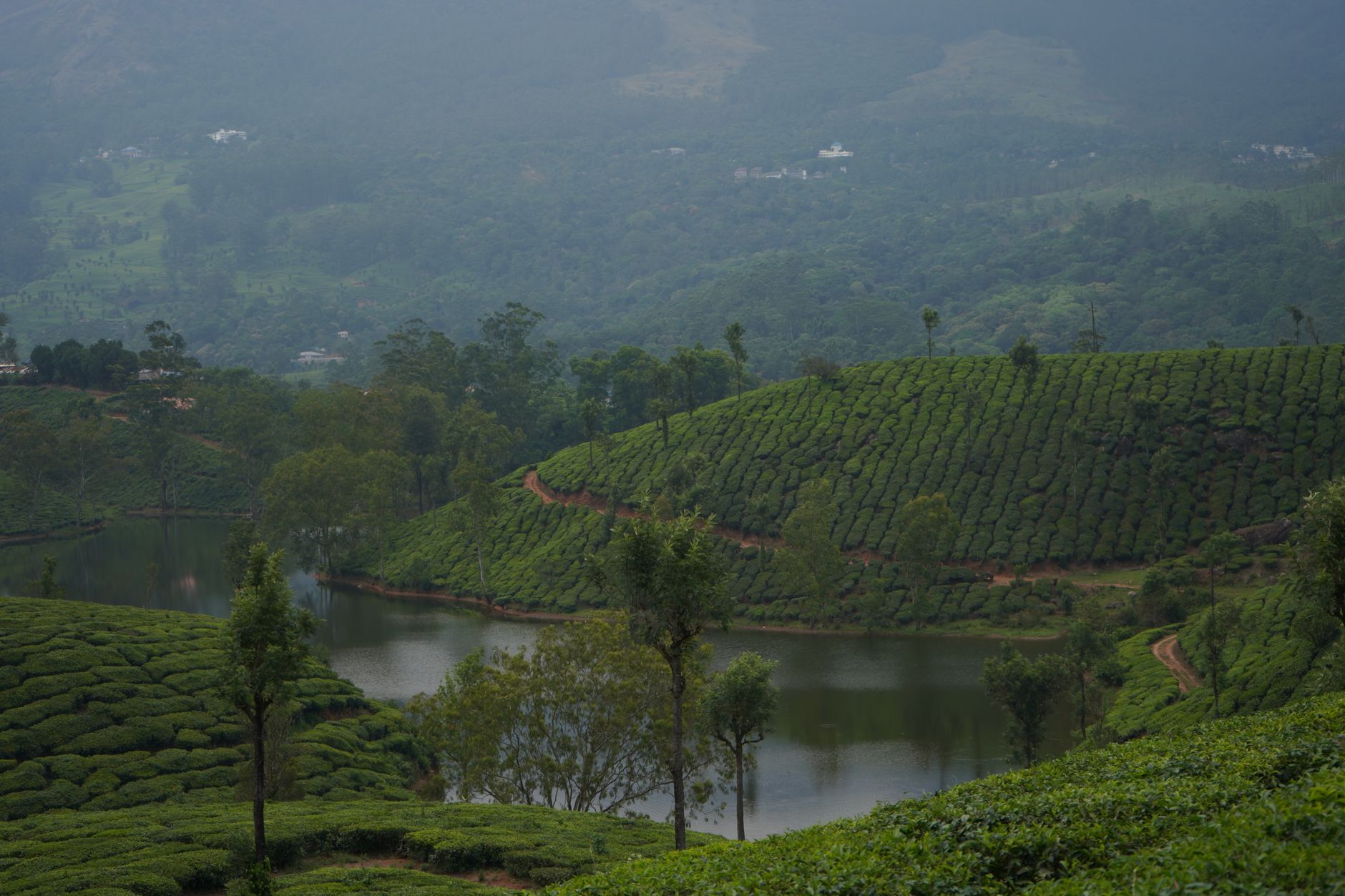 Romantic Munnar Awaits You
