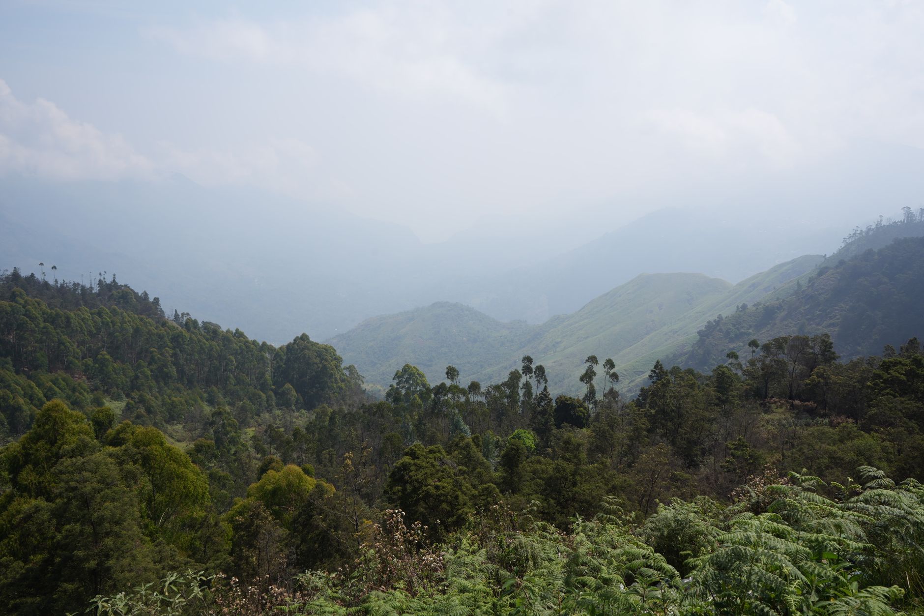 Munnar Function Destination Shoot