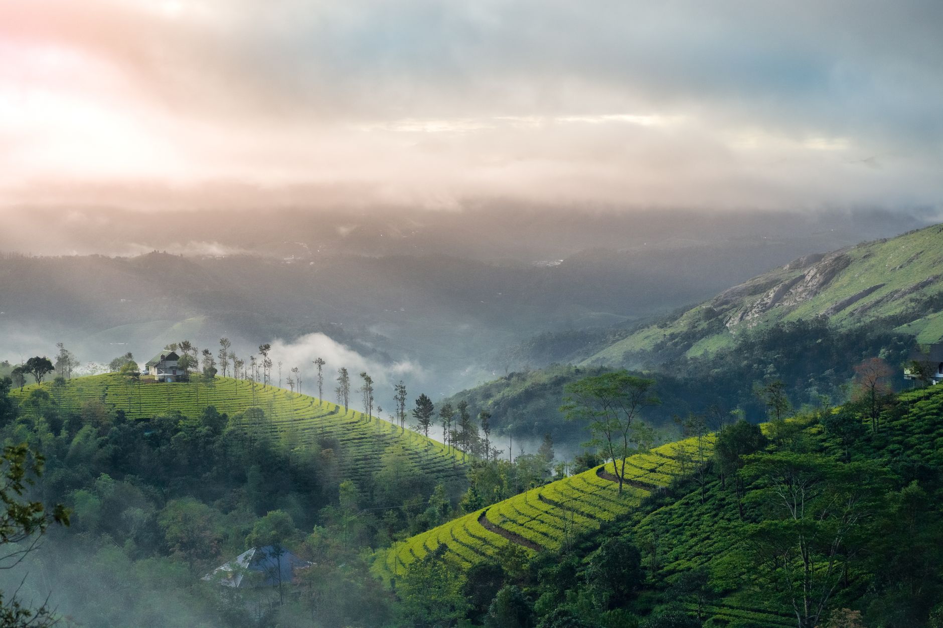 Grand Venues for Big Moments in Munnar