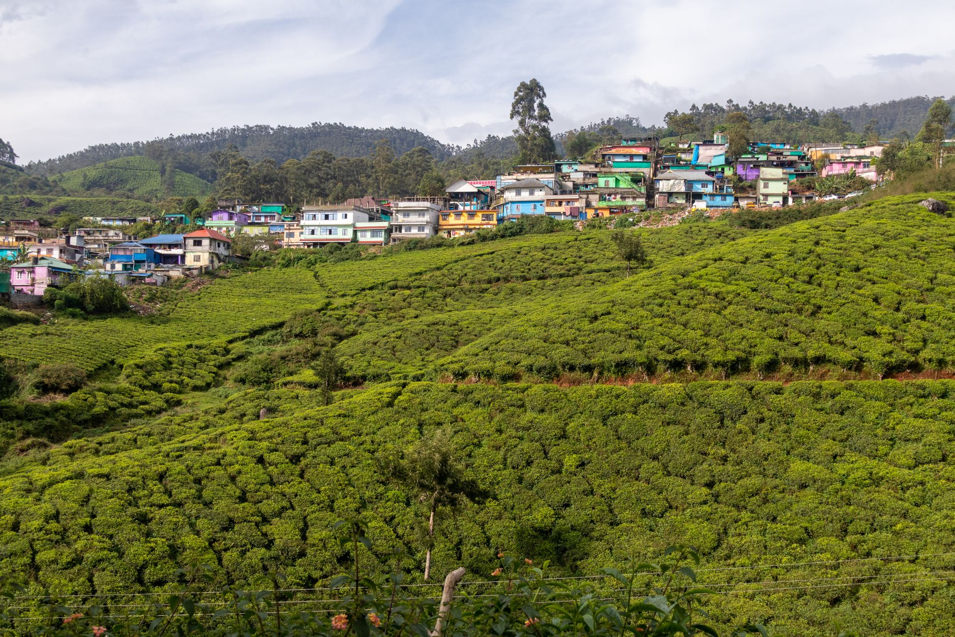 Your Munnar Wedding, One Beautiful Page