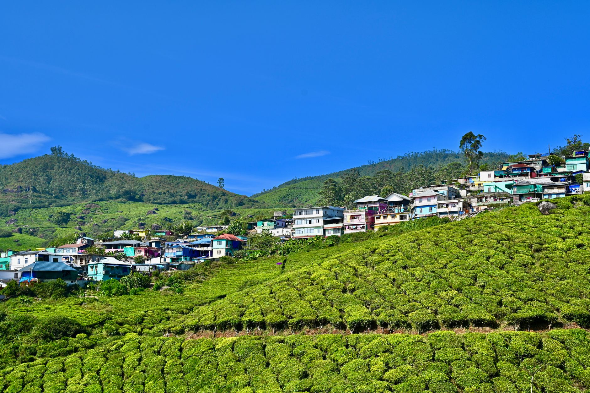 Celebrate Under Munnar's Open Sky