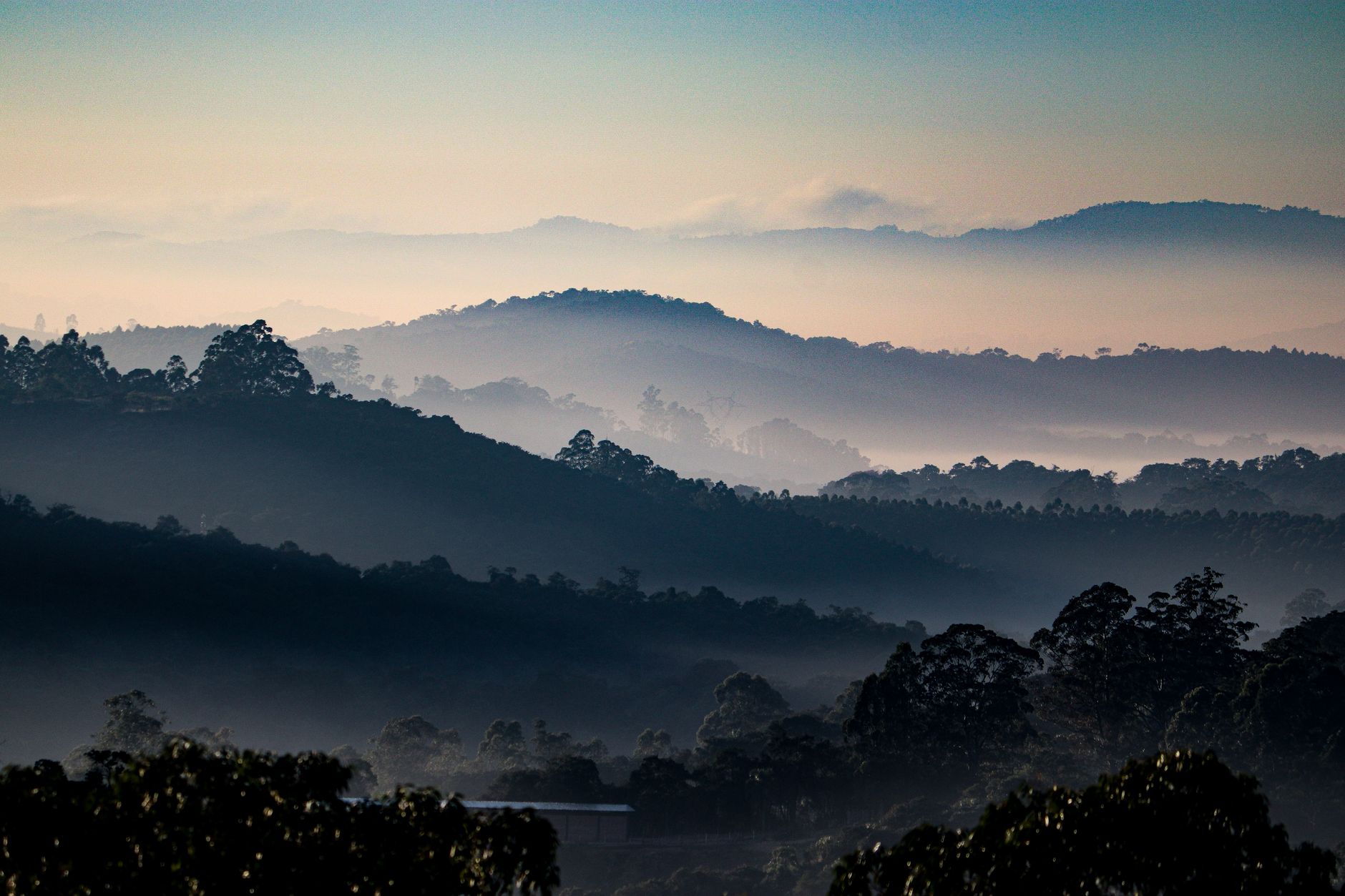 Live Instrumental Music in Munnar