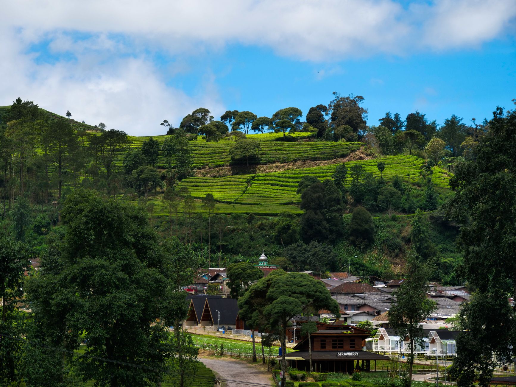 Illuminate Your Munnar Event Perfectly