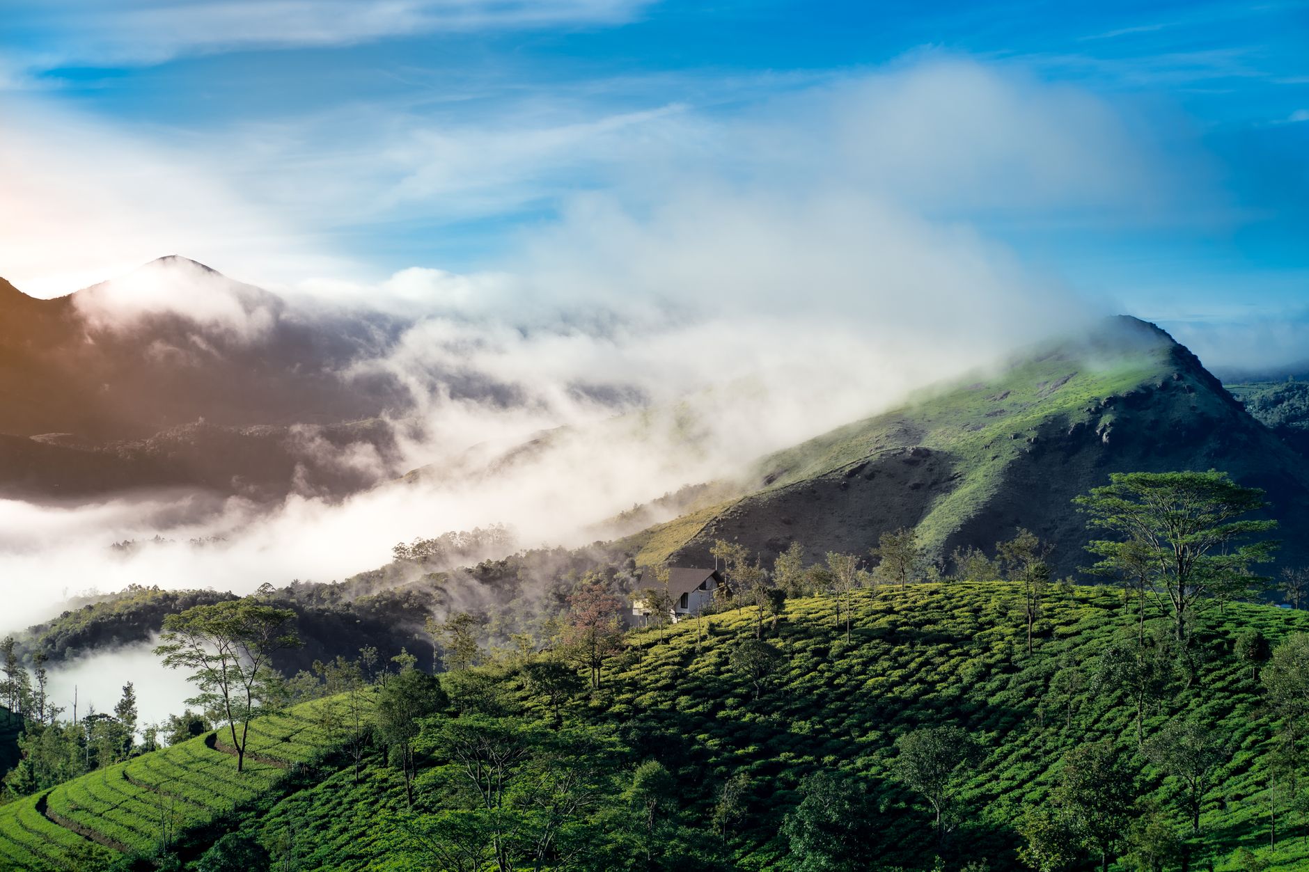 Munnar Poolside Weddings & Events