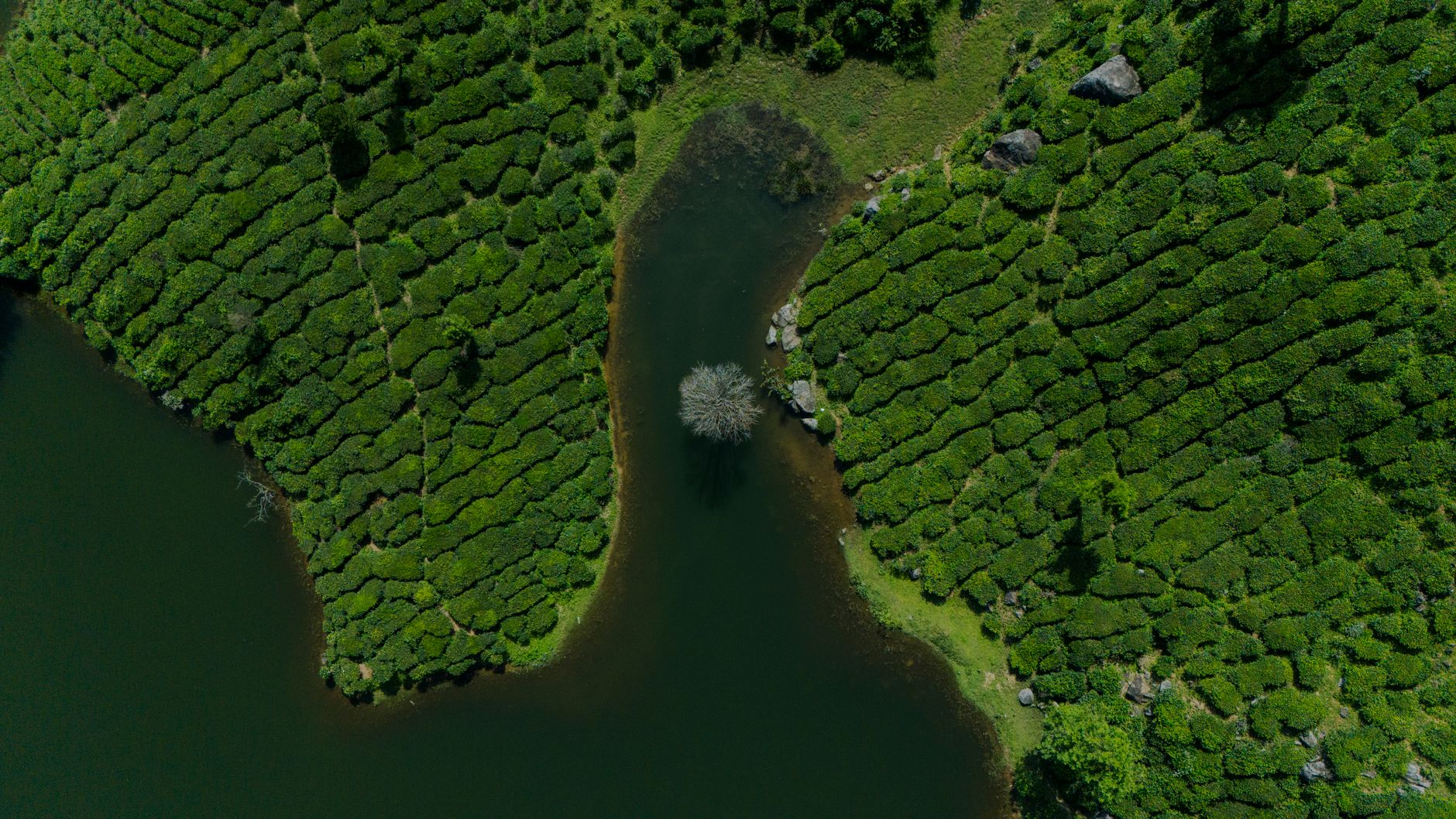 Seamless Shuttles for Munnar Weddings