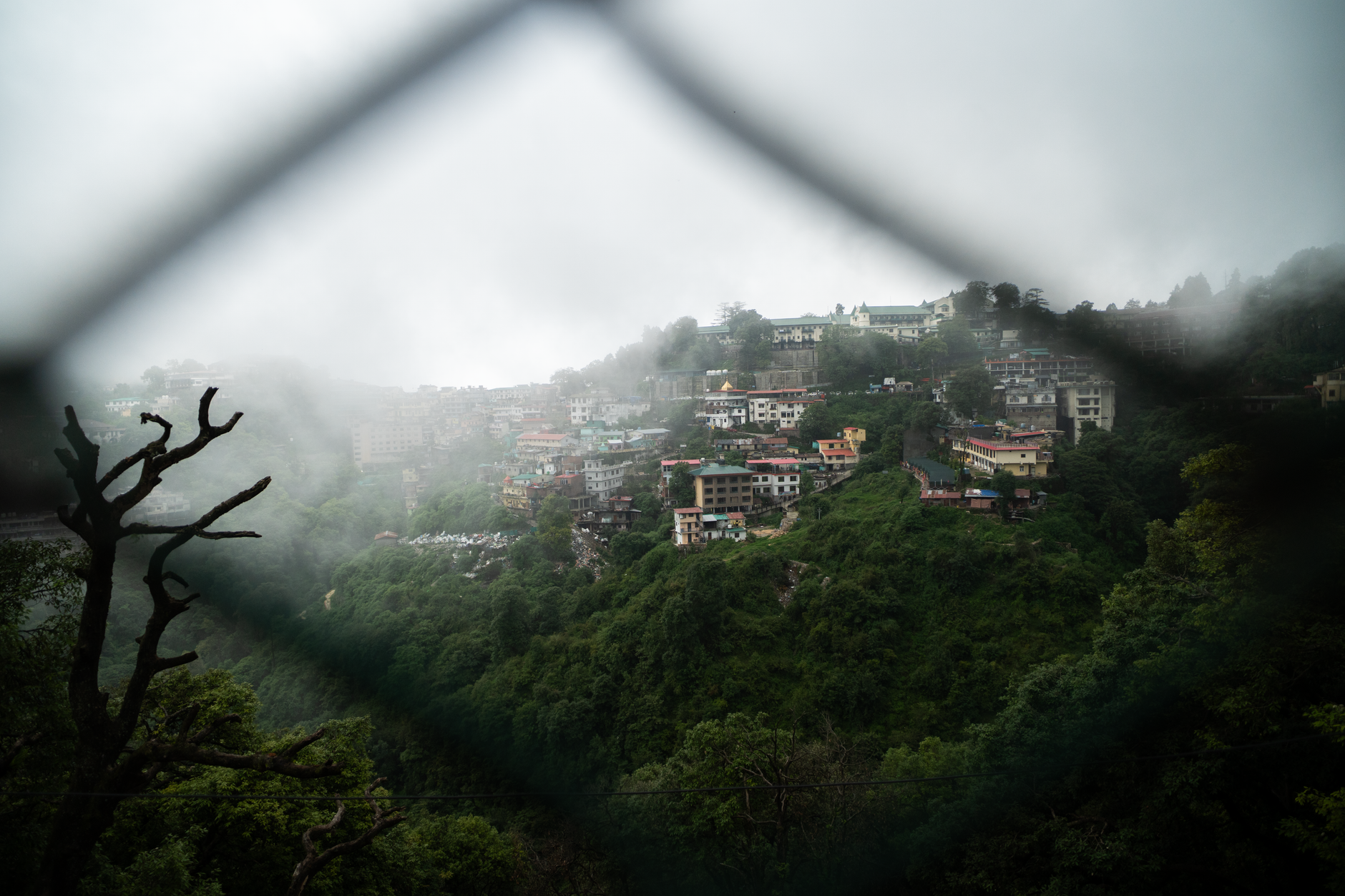 Find the Best Shaadi Planners in Mussoorie