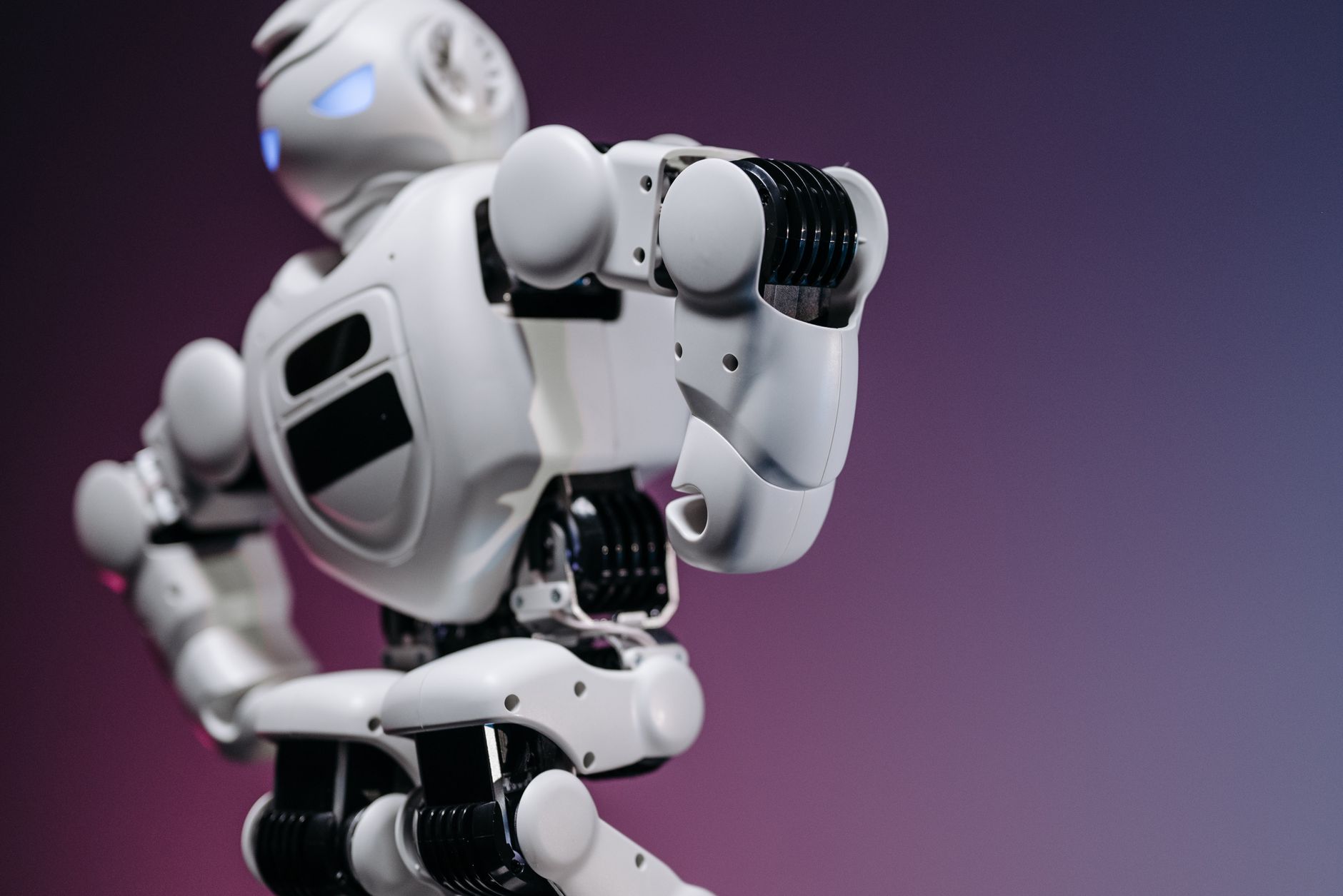 Humanoid Robot Entertainment in Mussoorie