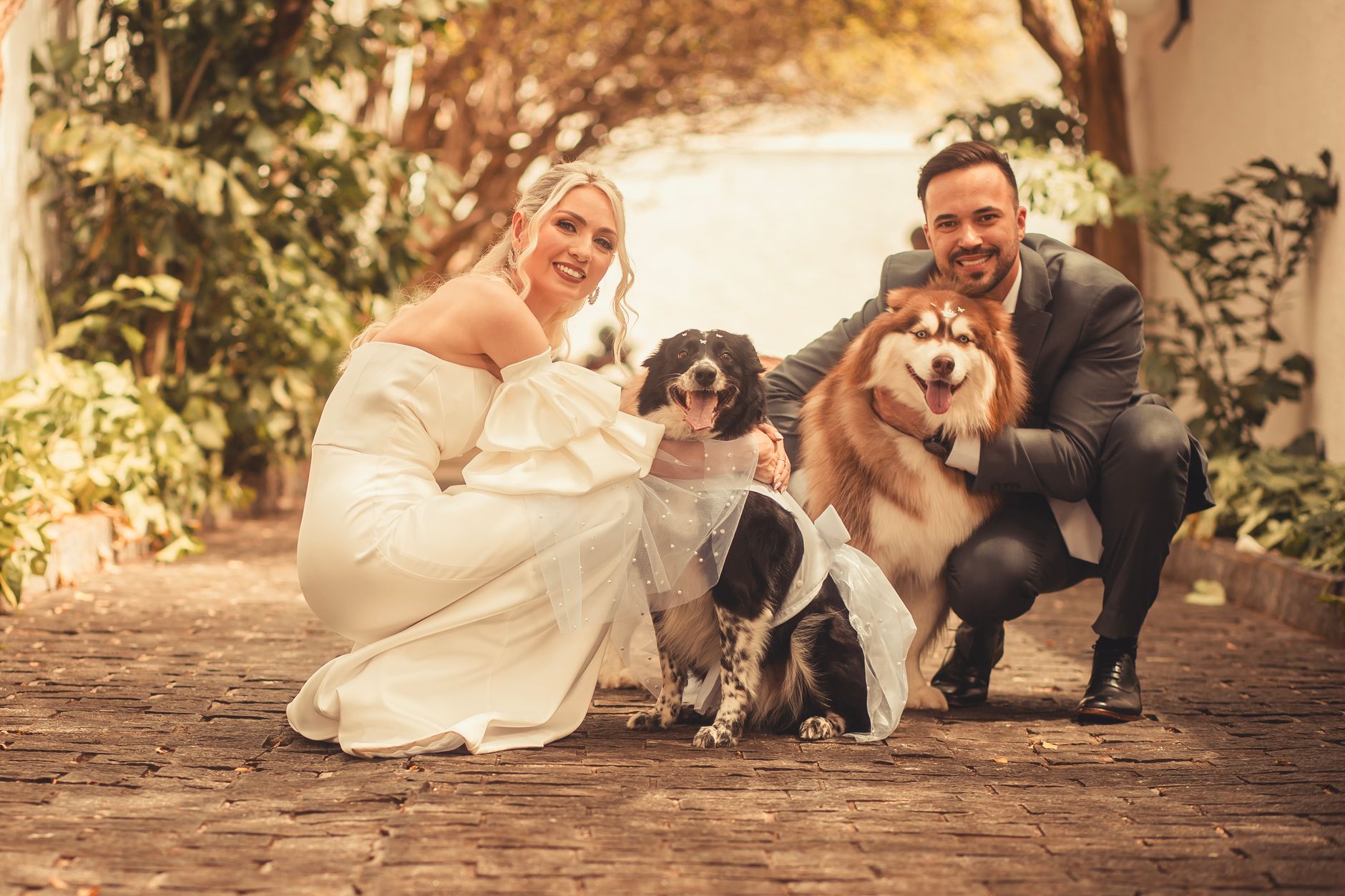 Pet Care for Mussoorie Wedding Guests