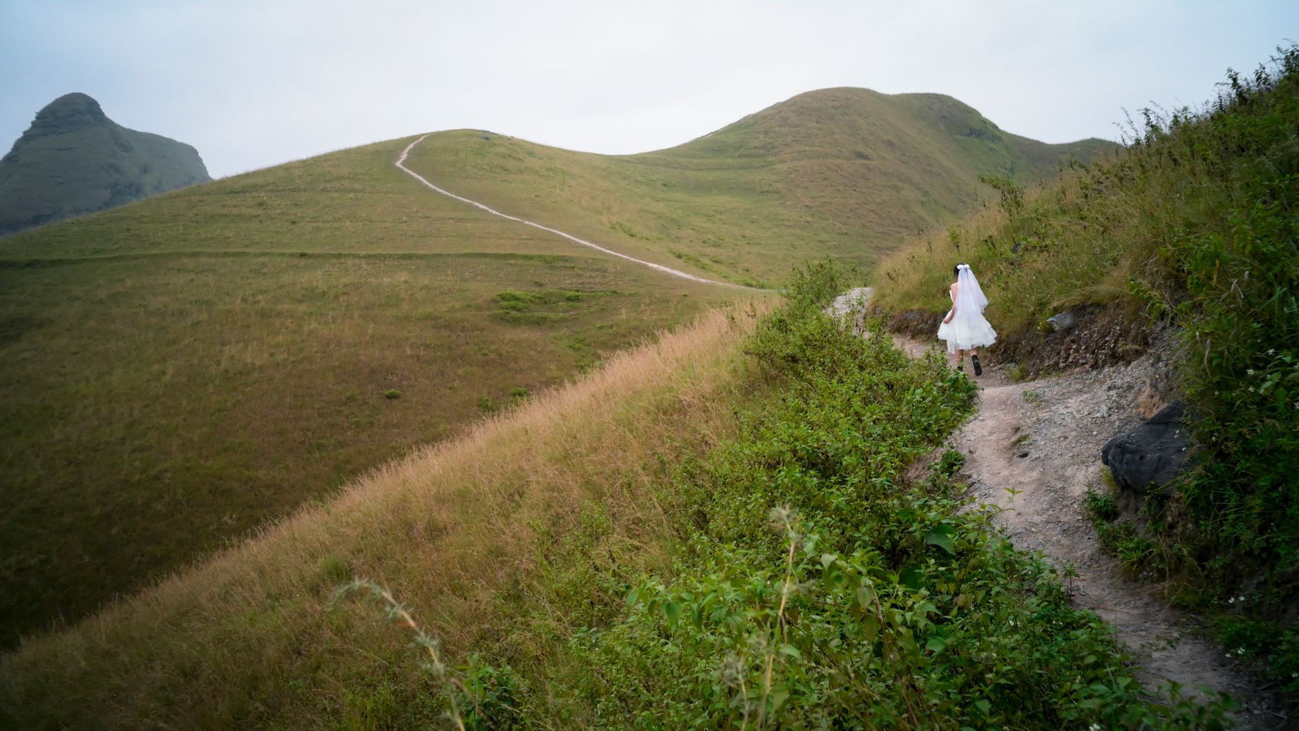 Royal Buggy Rides for Your Hill Wedding