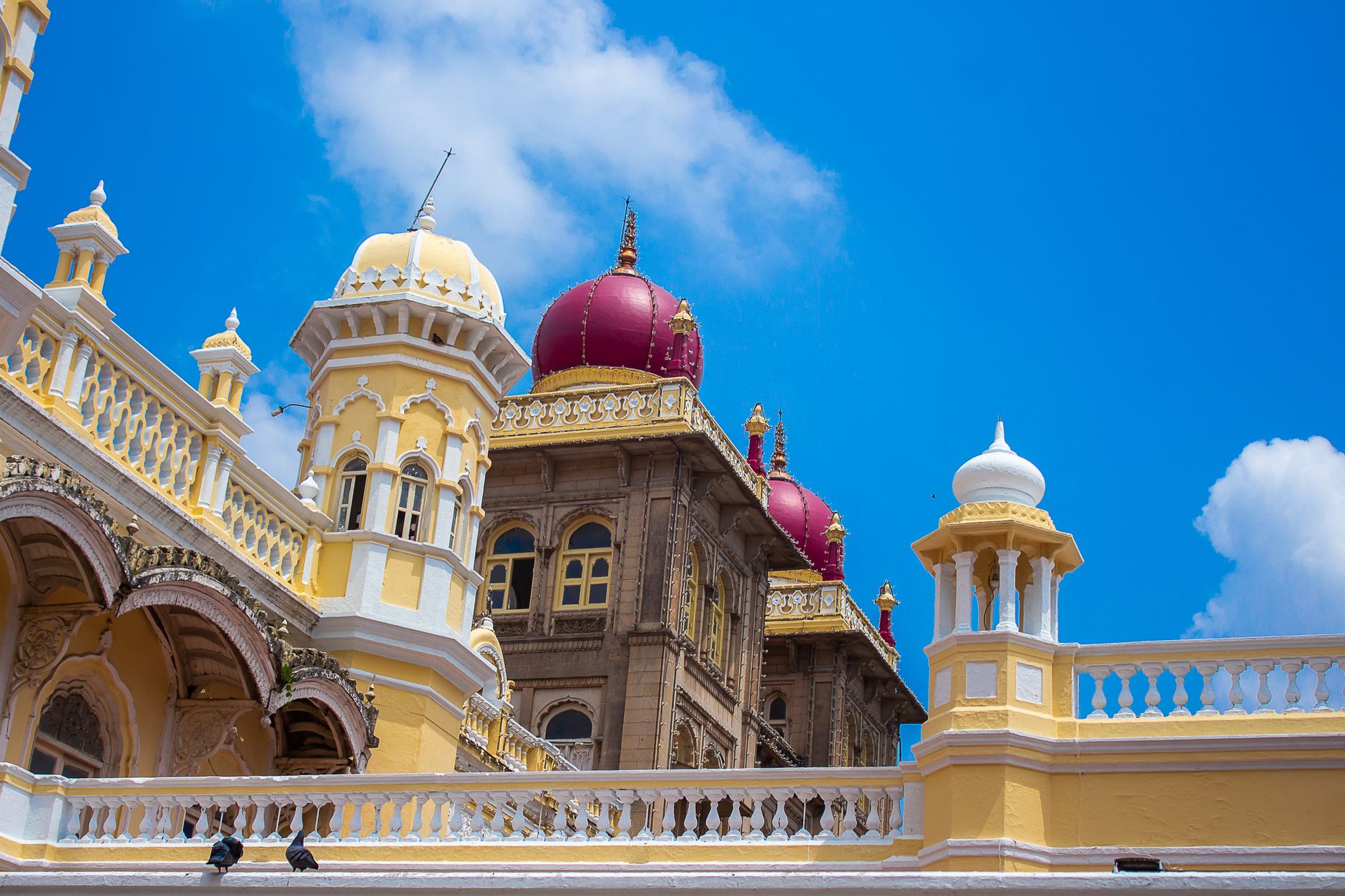 Royal Rides for Every Guest