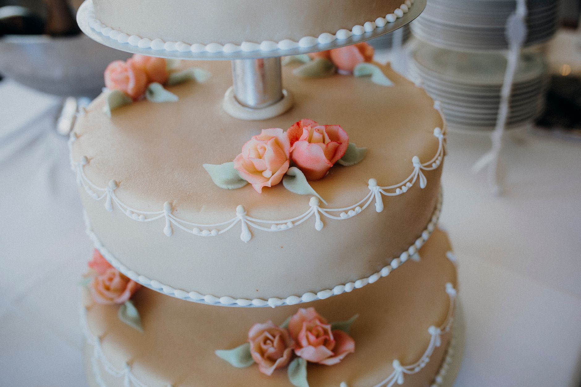 Premium Celebration Cakes