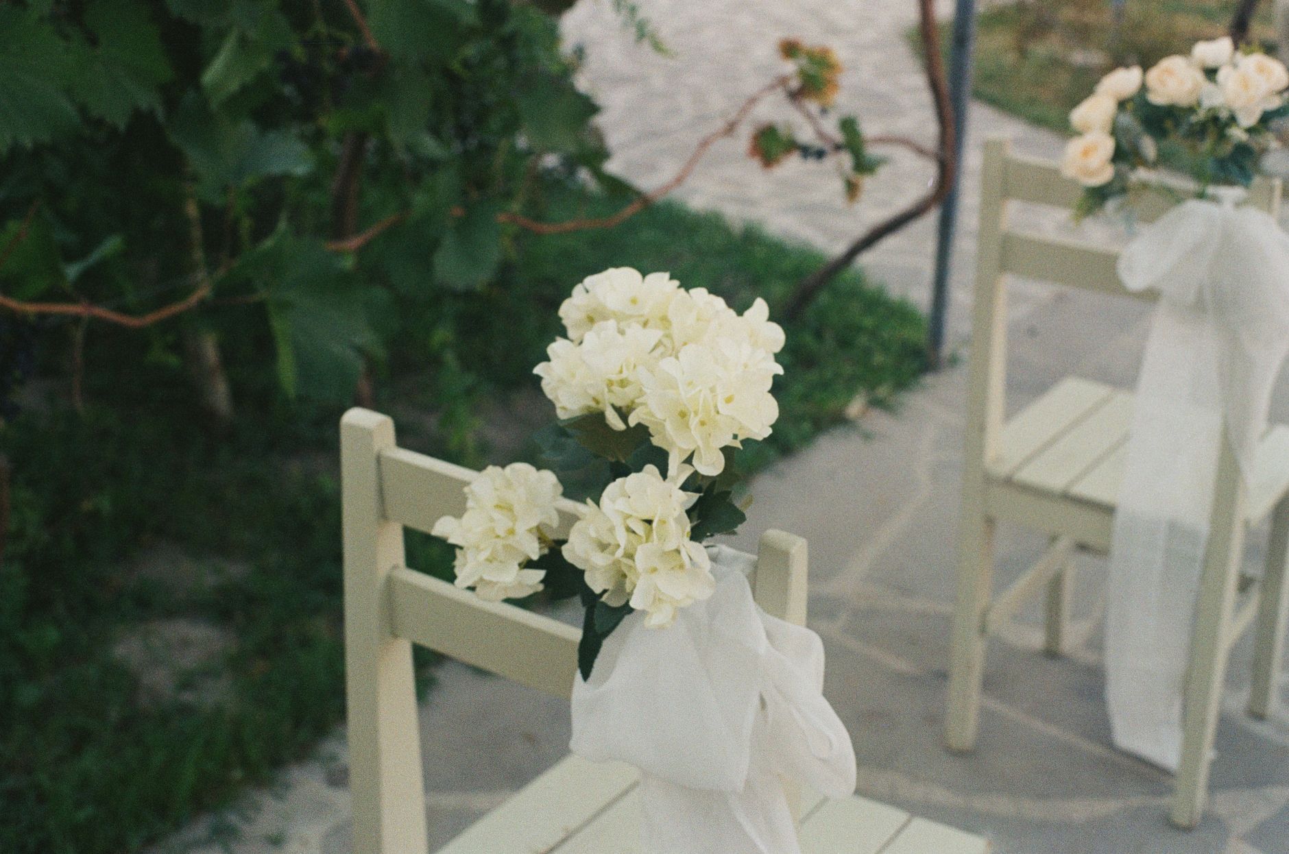 Premium Chair Sashes