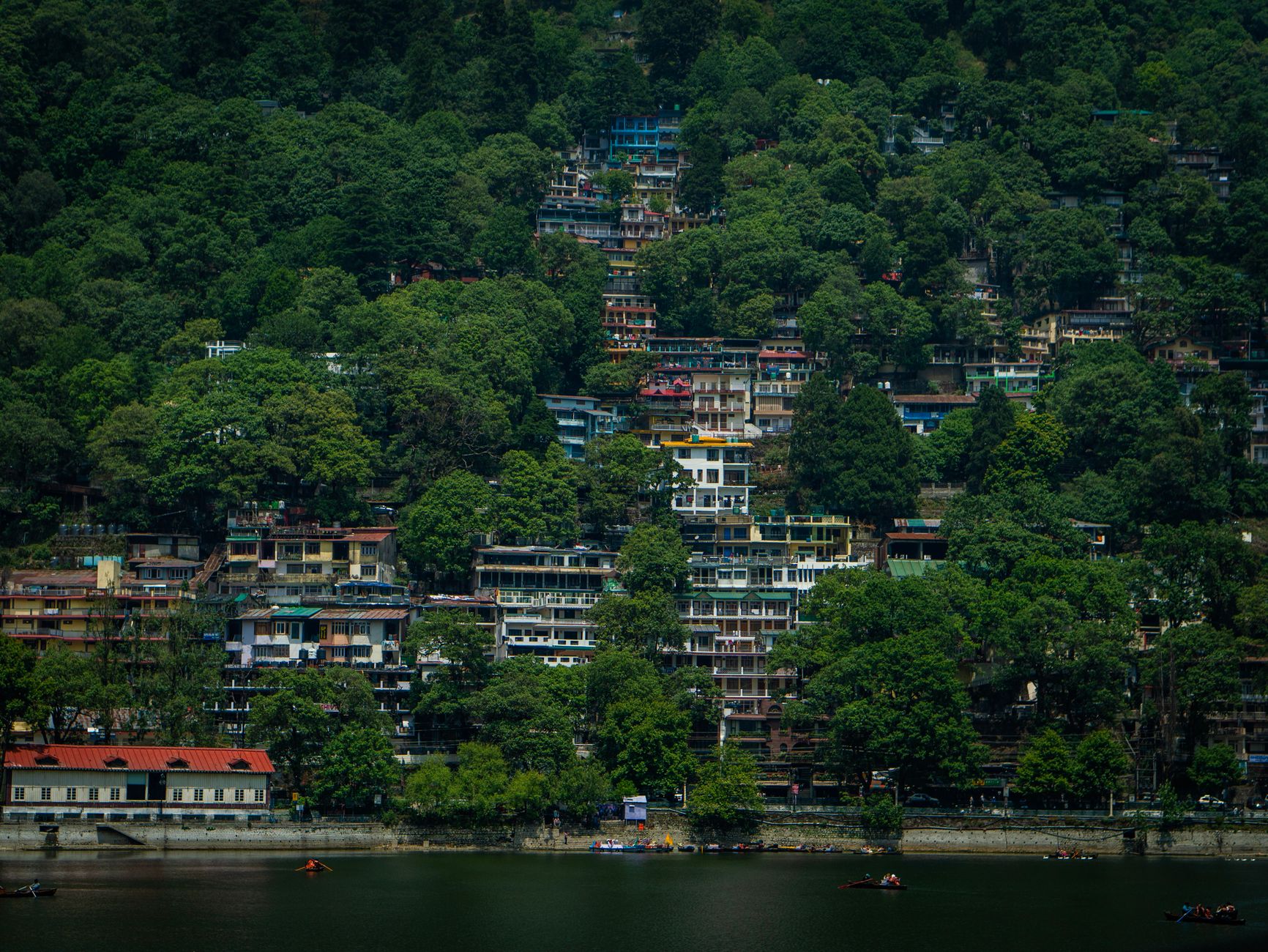 Top Company Function Managers in Nainital