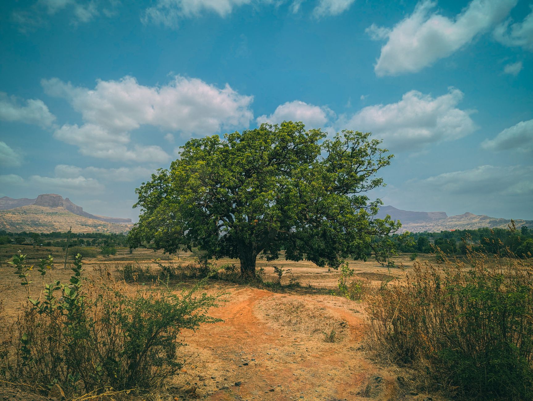 Digital Detox Retreat Centers