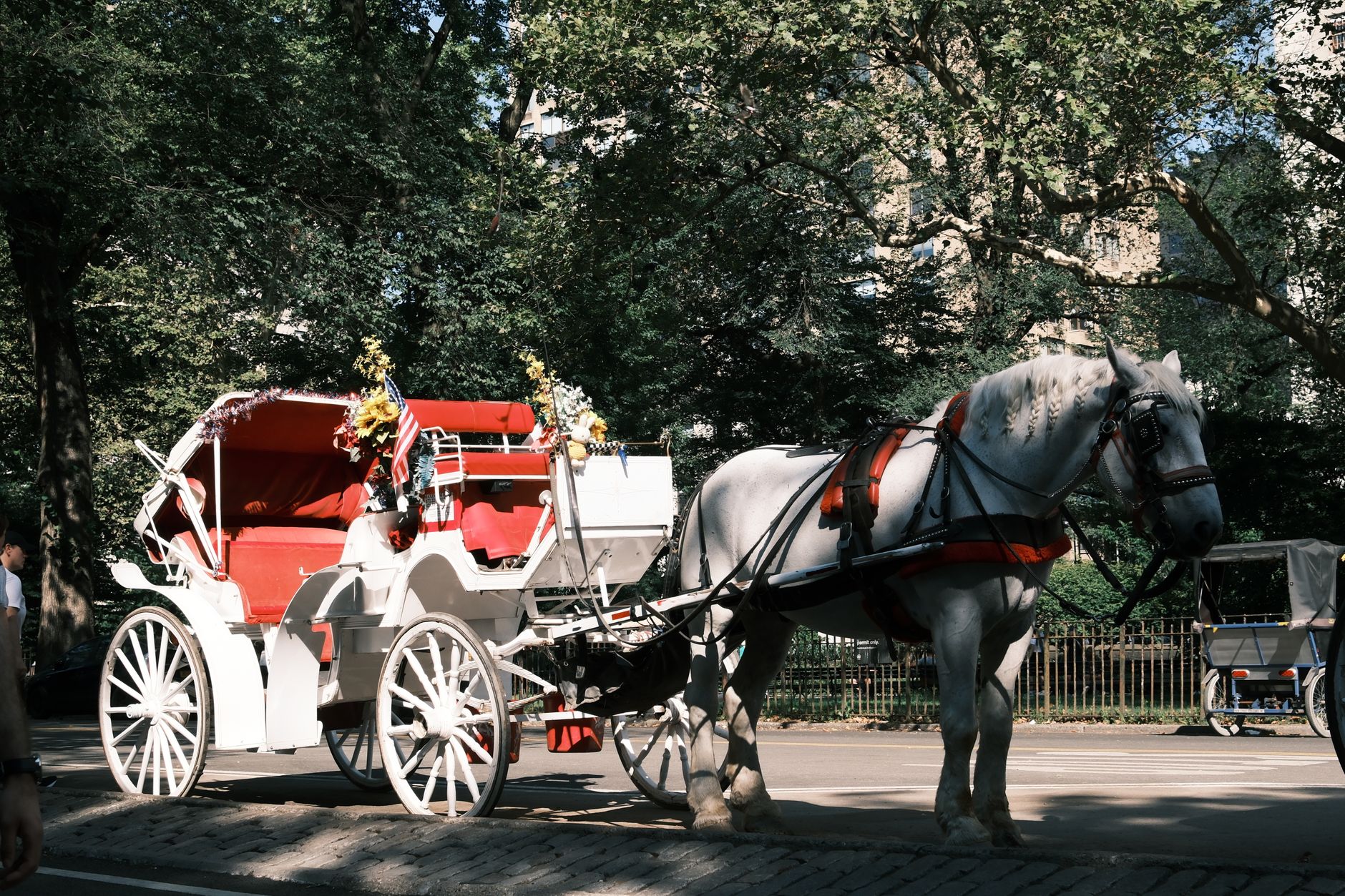 Royal Horse Carriage for Nashik Weddings