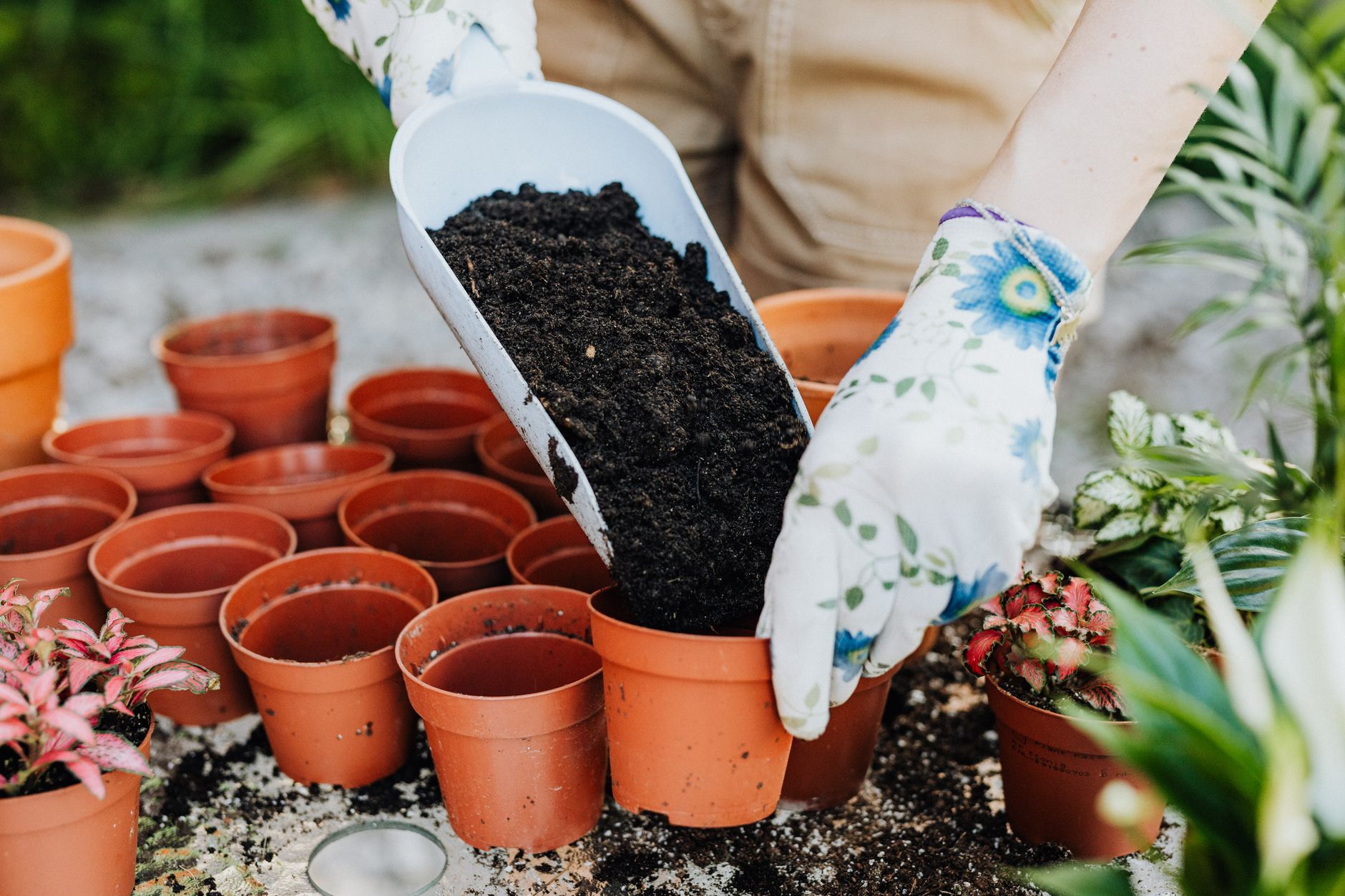 Personalized Plant Pots
