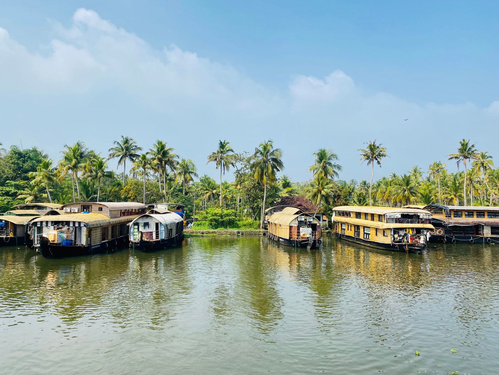 Backwater Destination Shoot