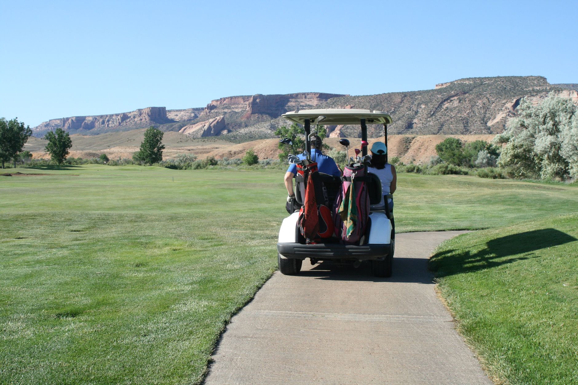 Bride Groom Golf Cart