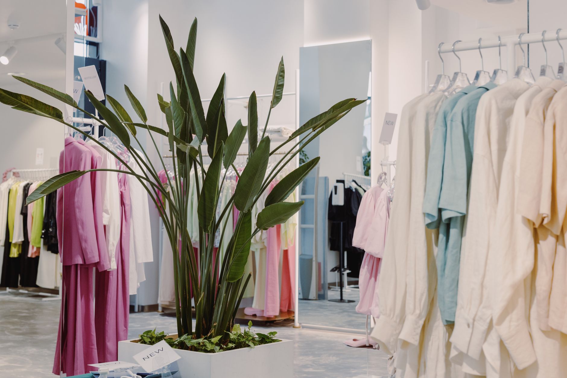 Immersive Store Decor