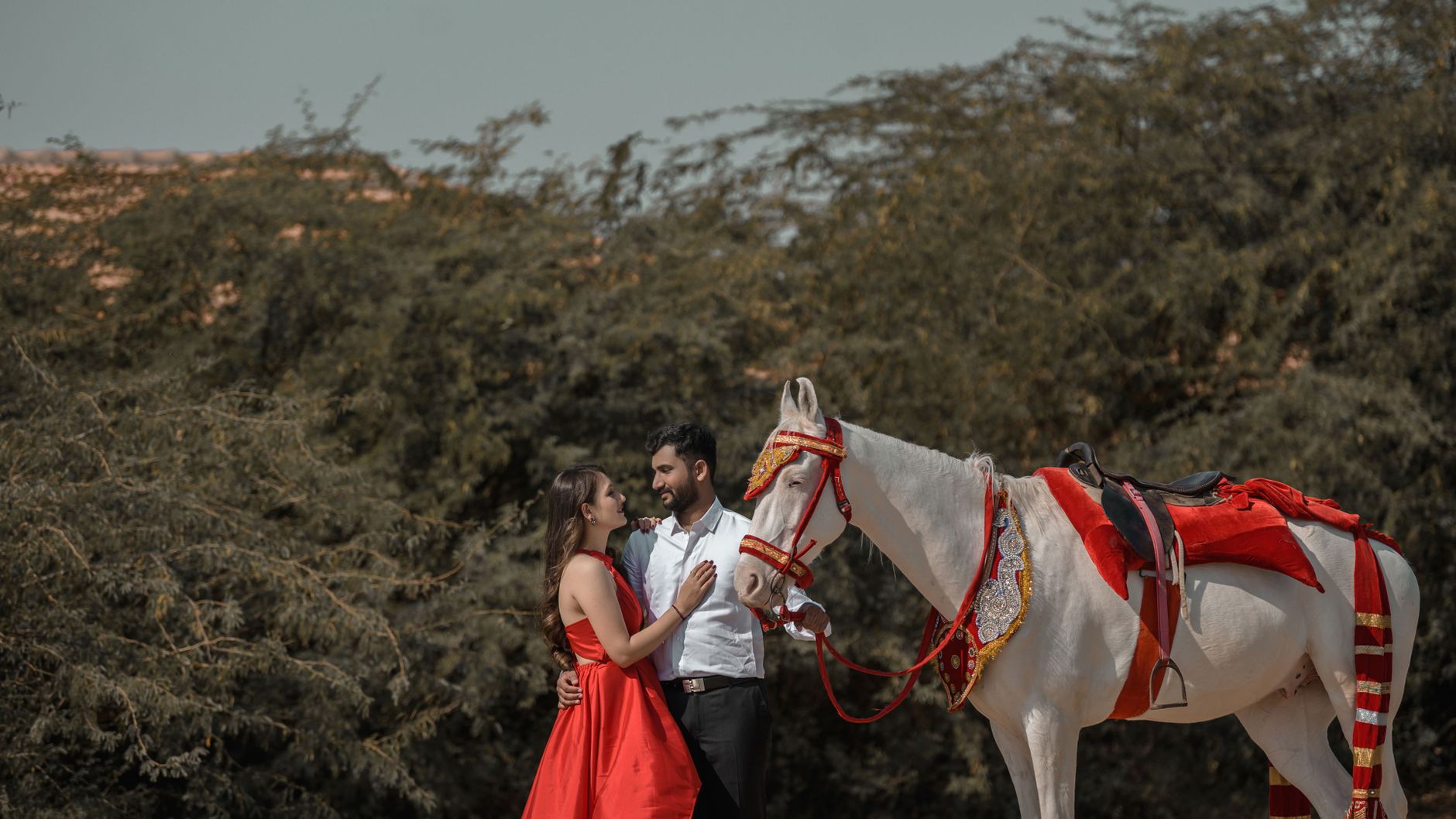 Palace Groom Horse