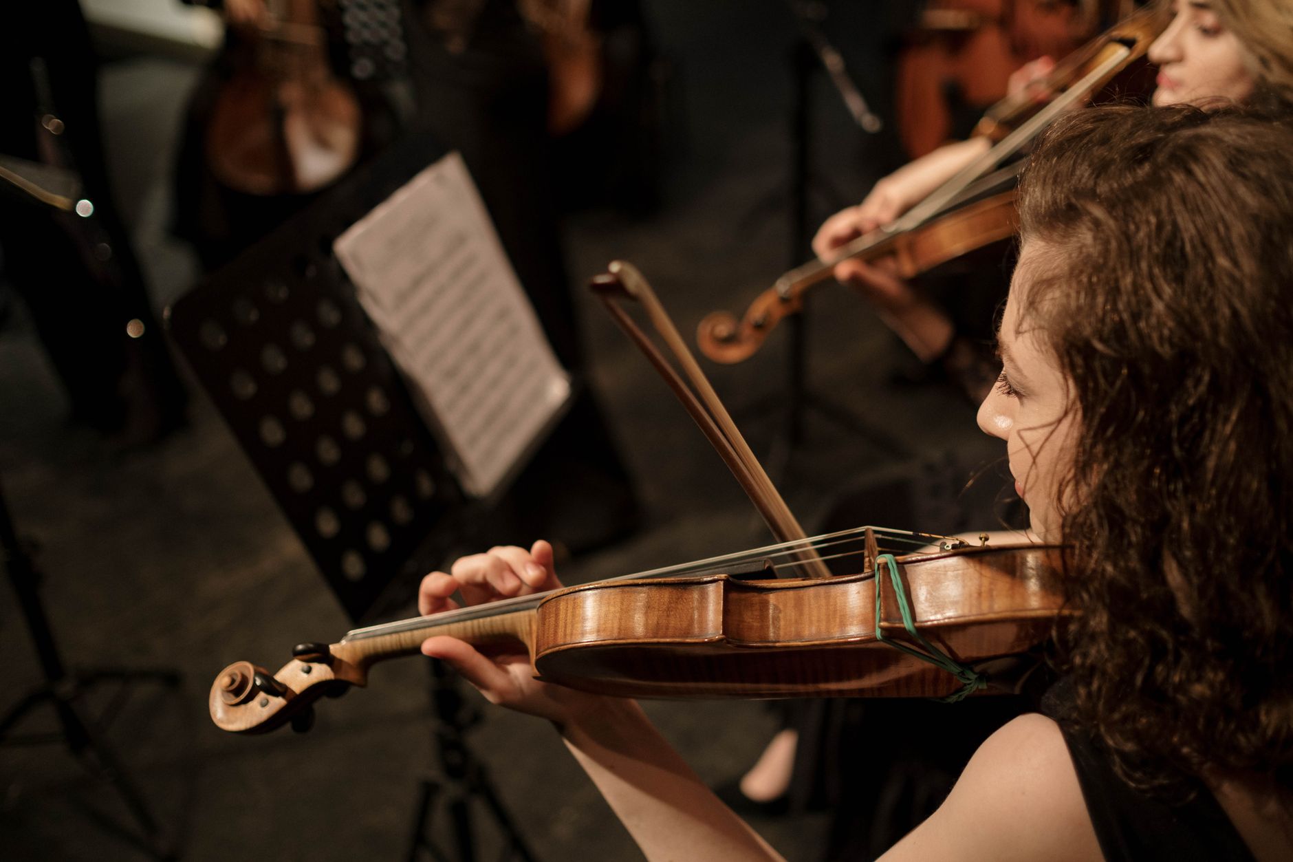 Live String Music for Every Celebration