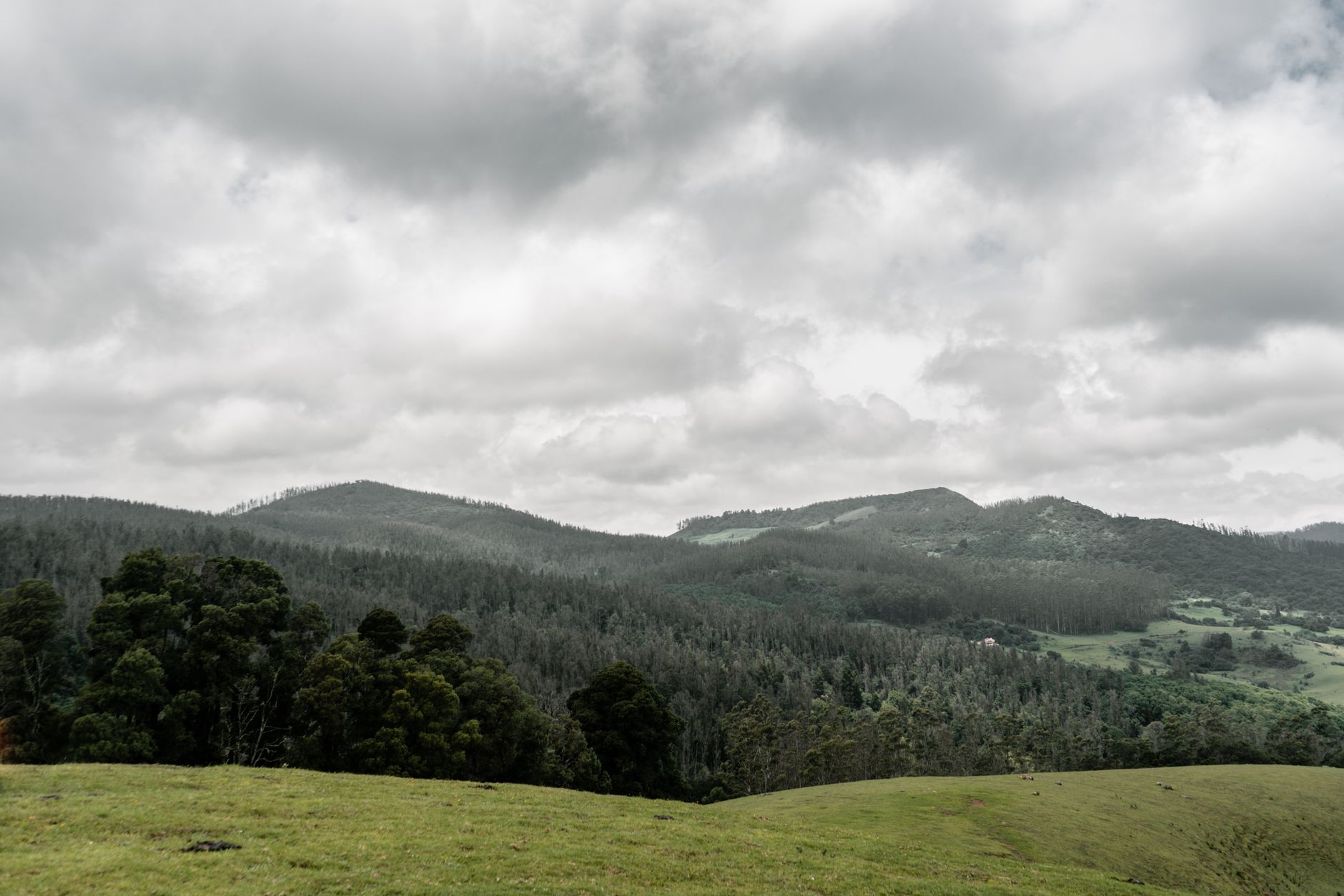 Baby Photography in Ooty's Hills