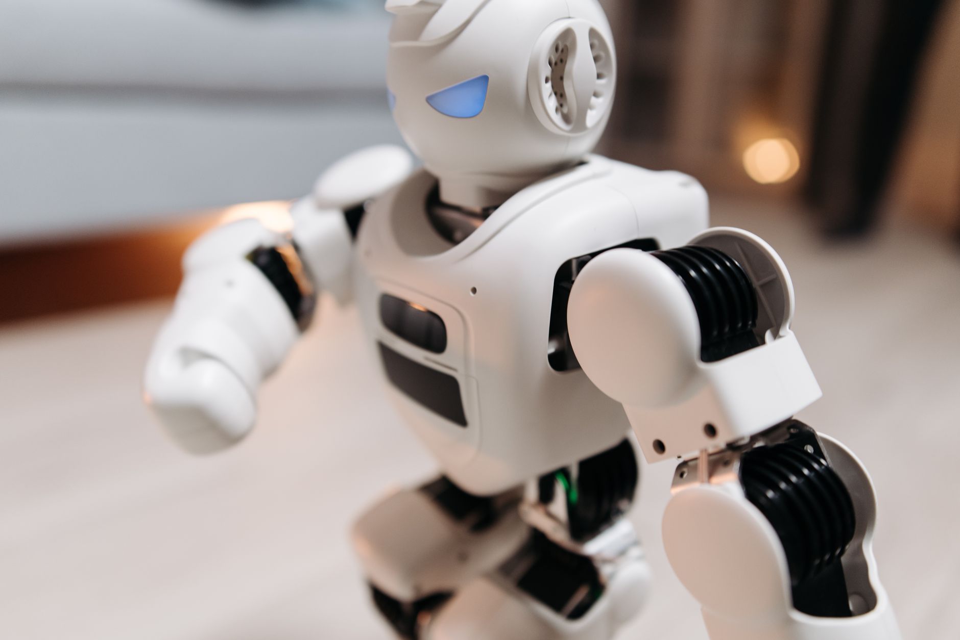 Interactive Humanoid Robots