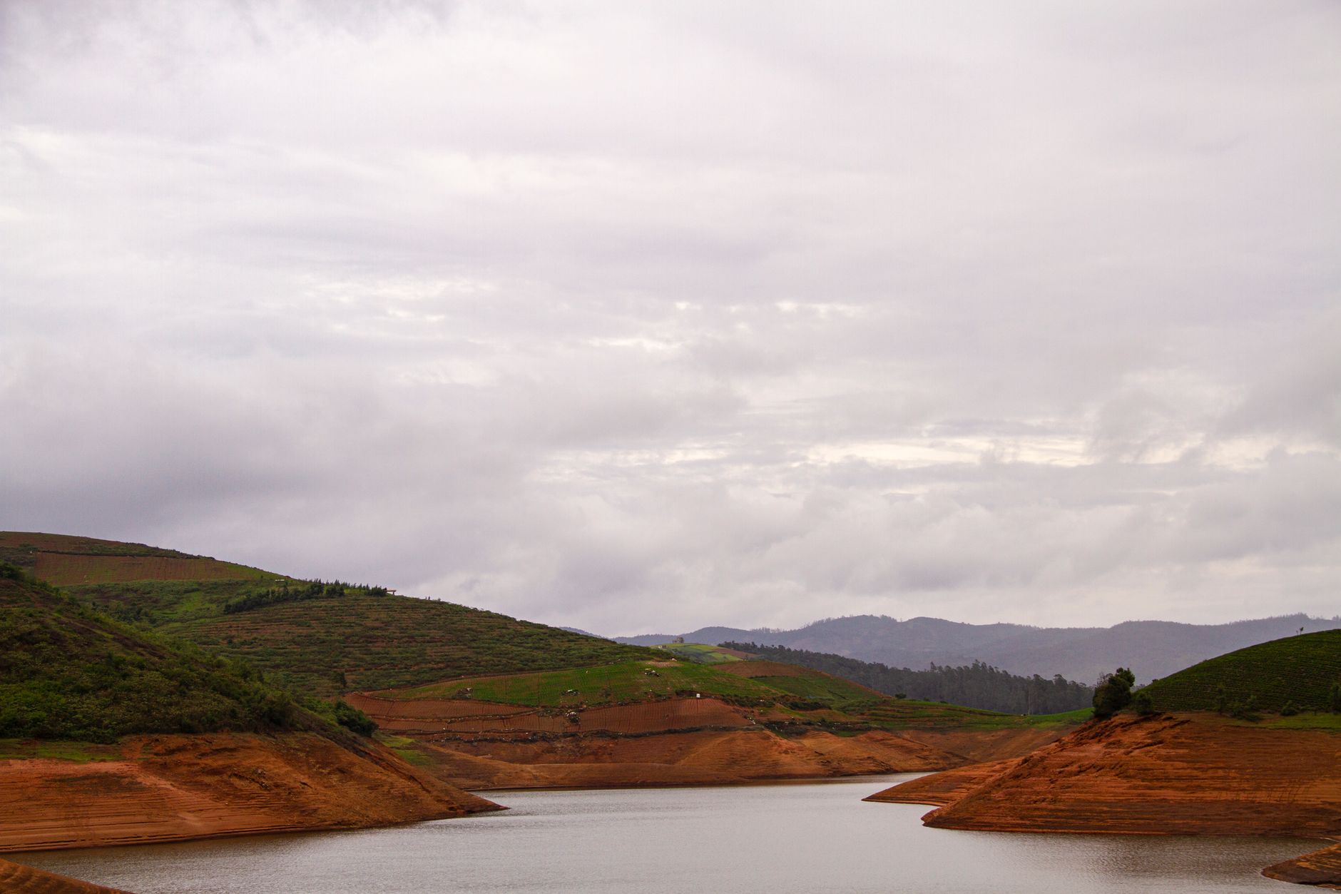 Propose Beautifully in Ooty's Hills