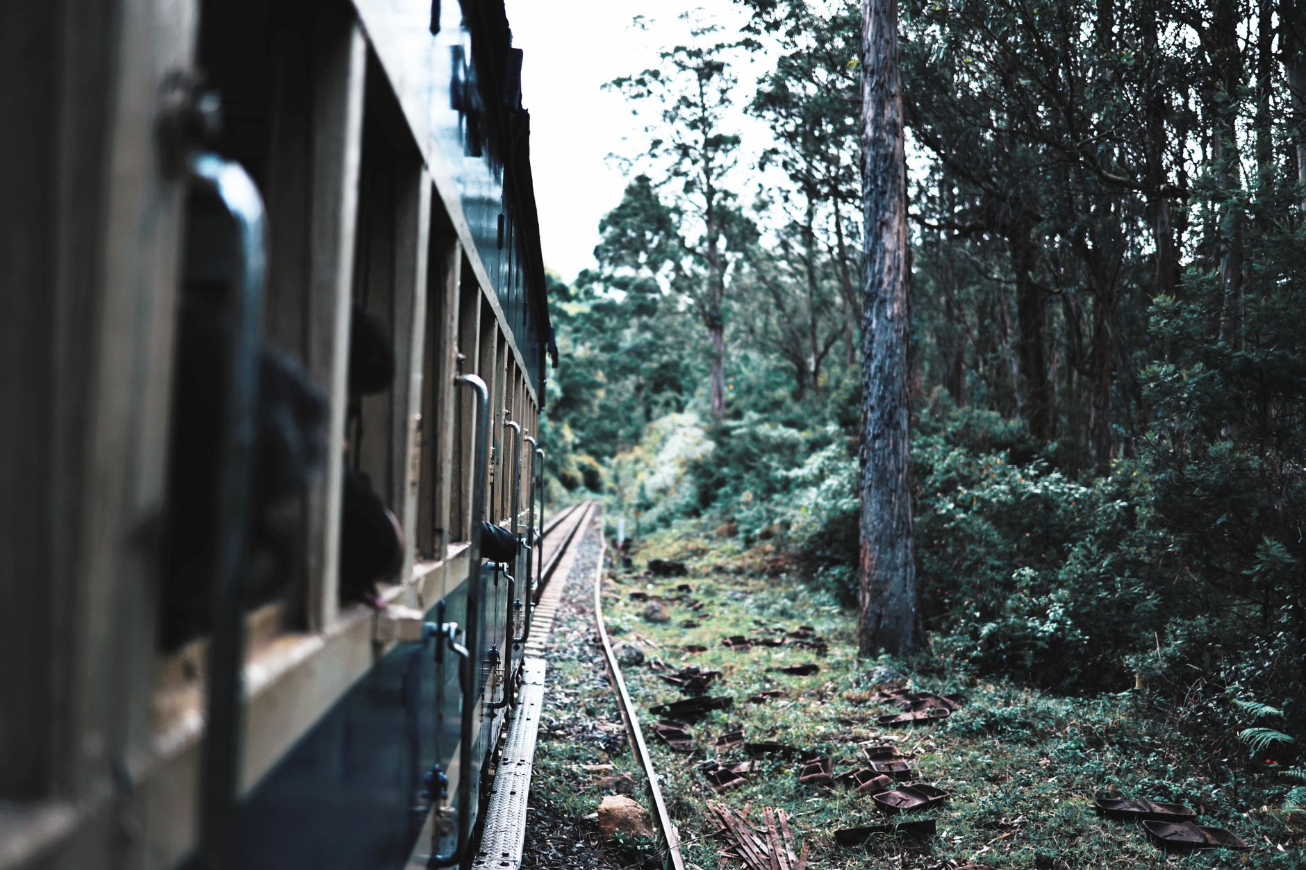 Ooty's Finest Coach Rental