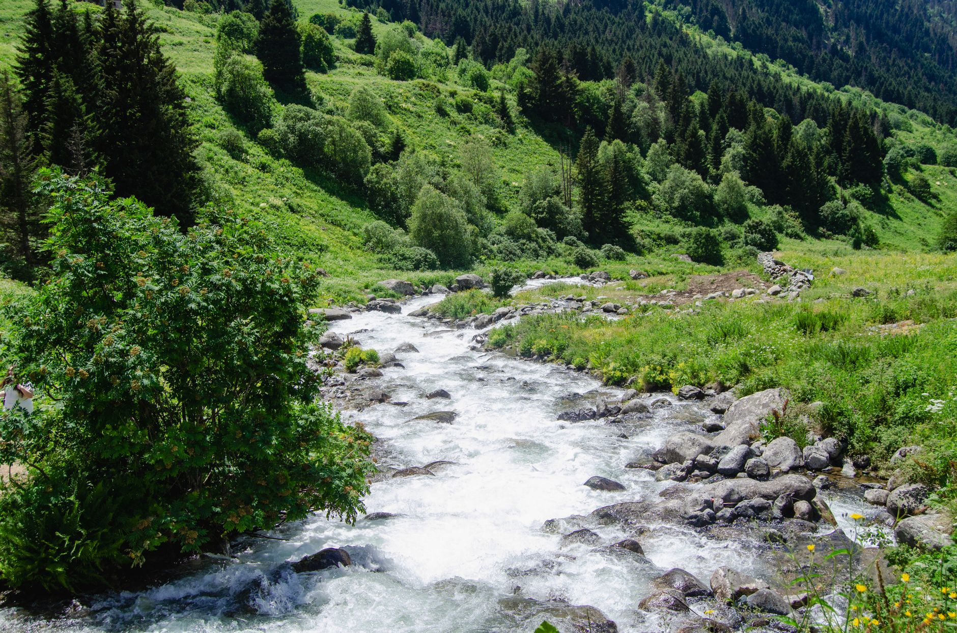 Stream Your Ooty Wedding Live