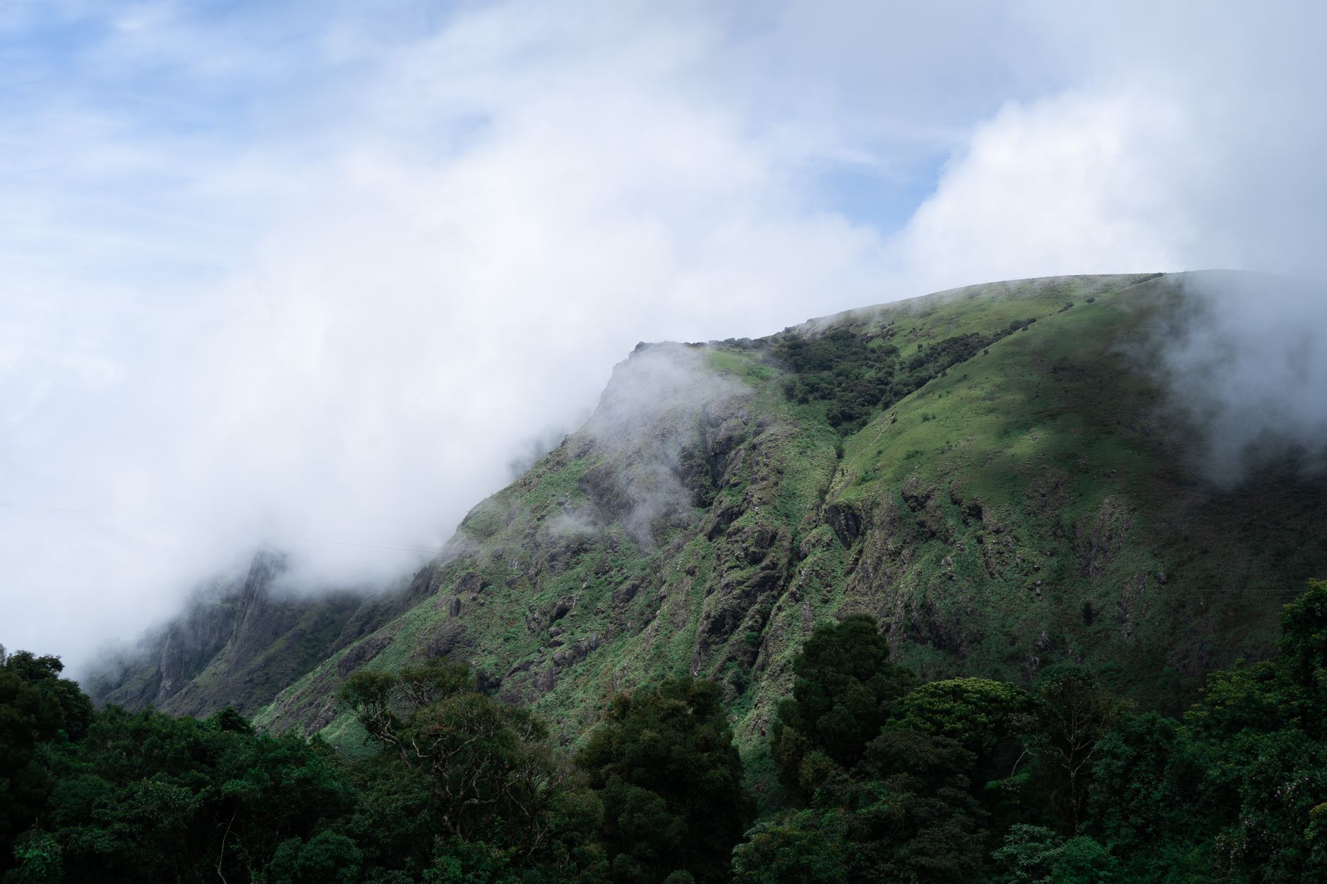 Celebrate Every Moment in Ooty