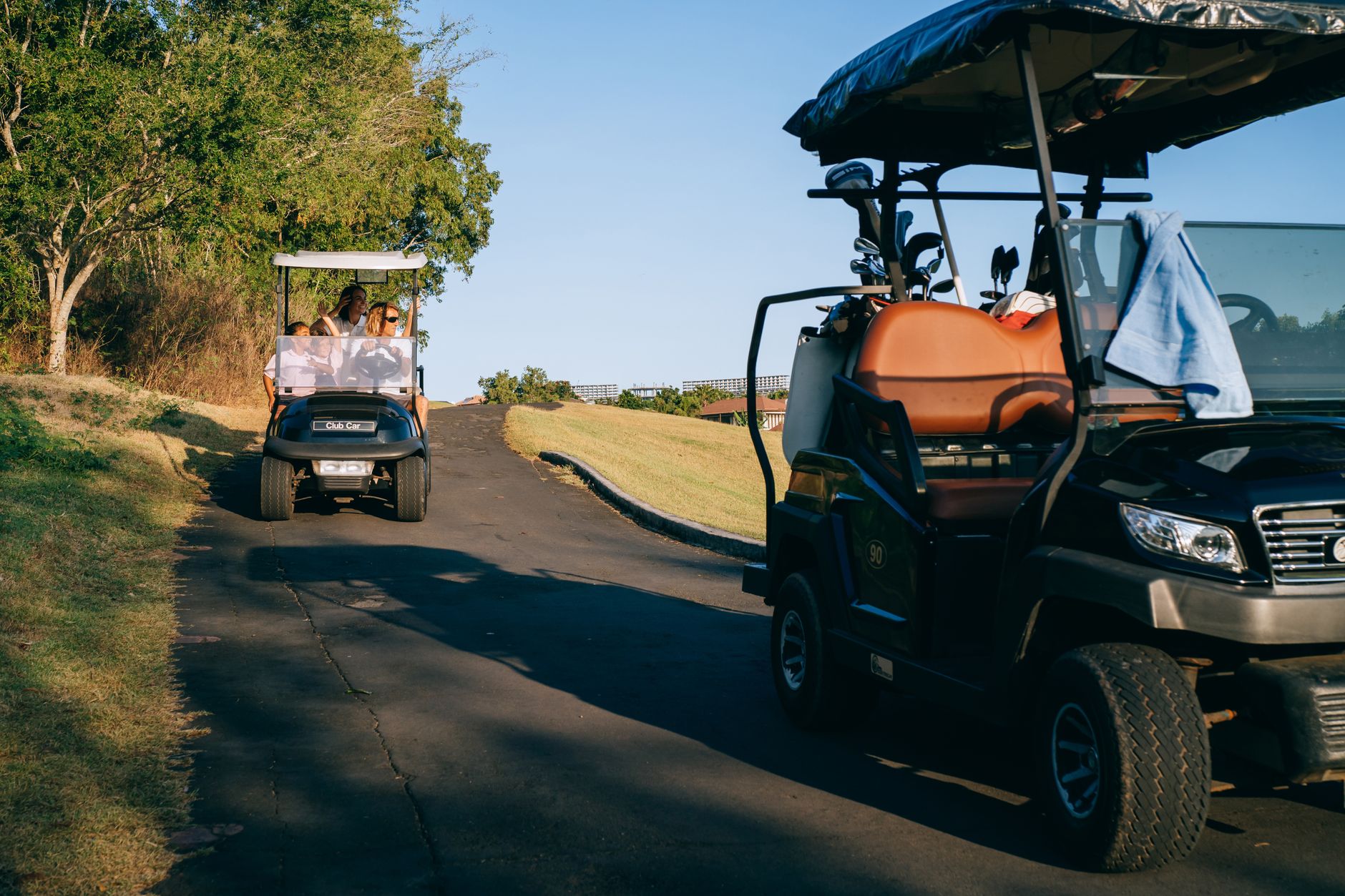 Accessibility Buggy Service