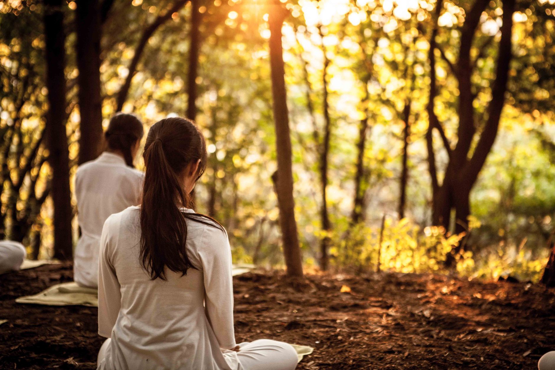 Mind Retreat Centers