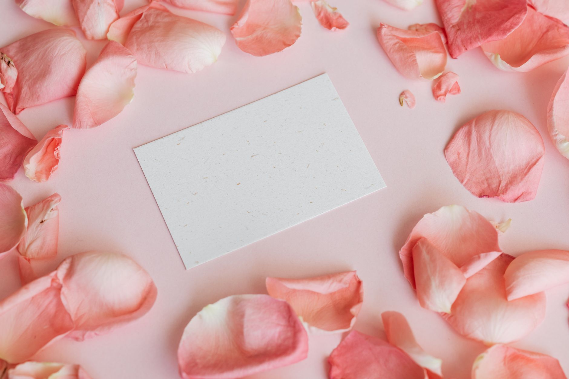 Plantable Return Gifts