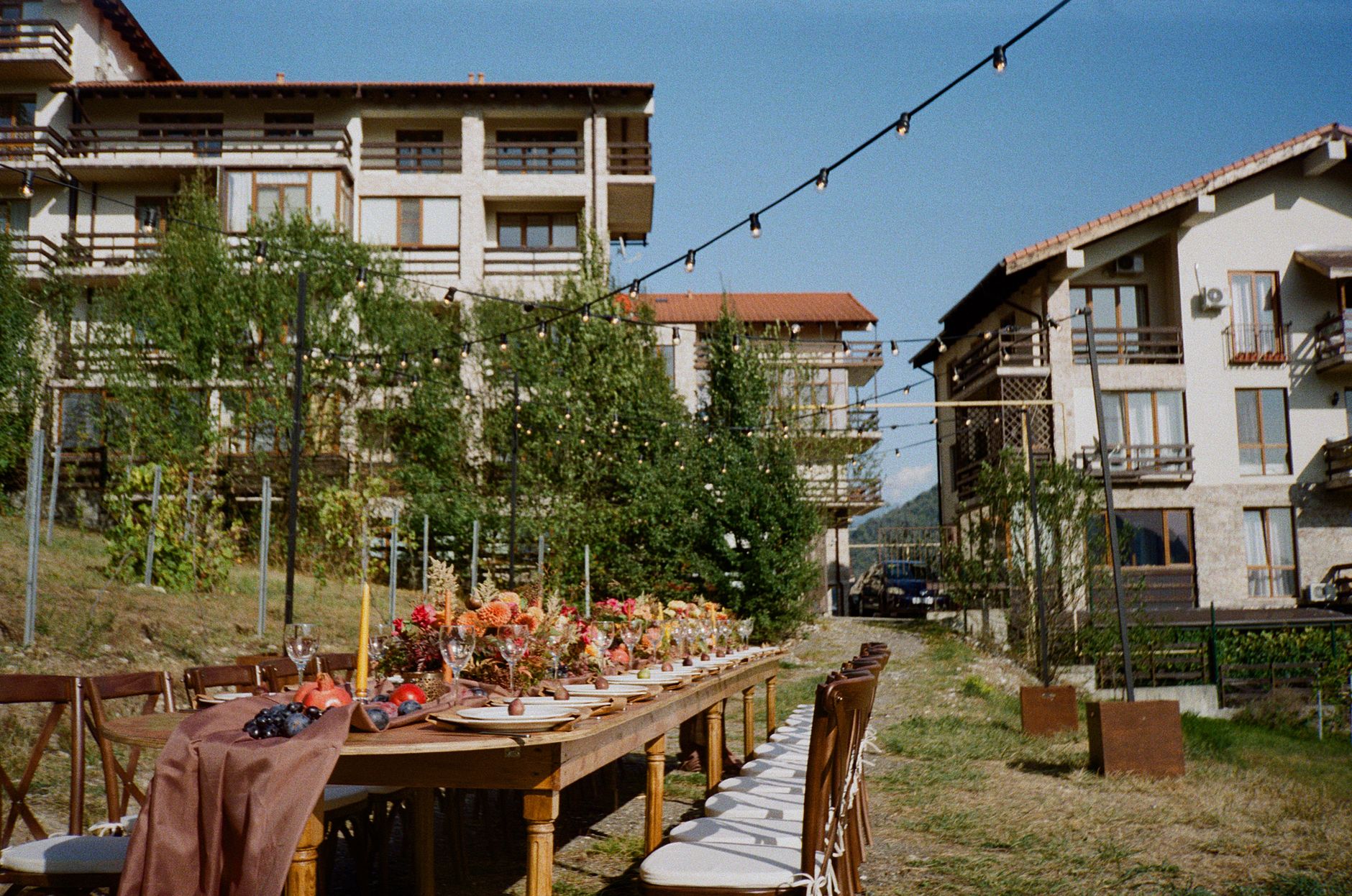 Vineyard Function Properties