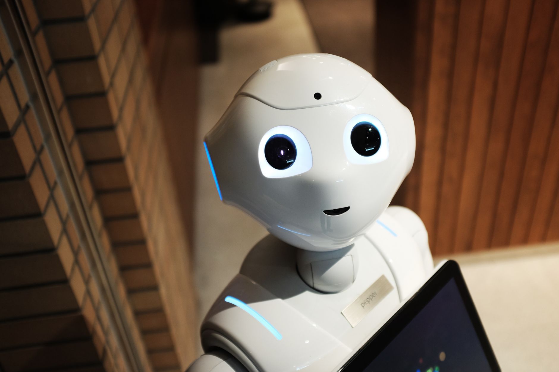 AI Concierge Robot