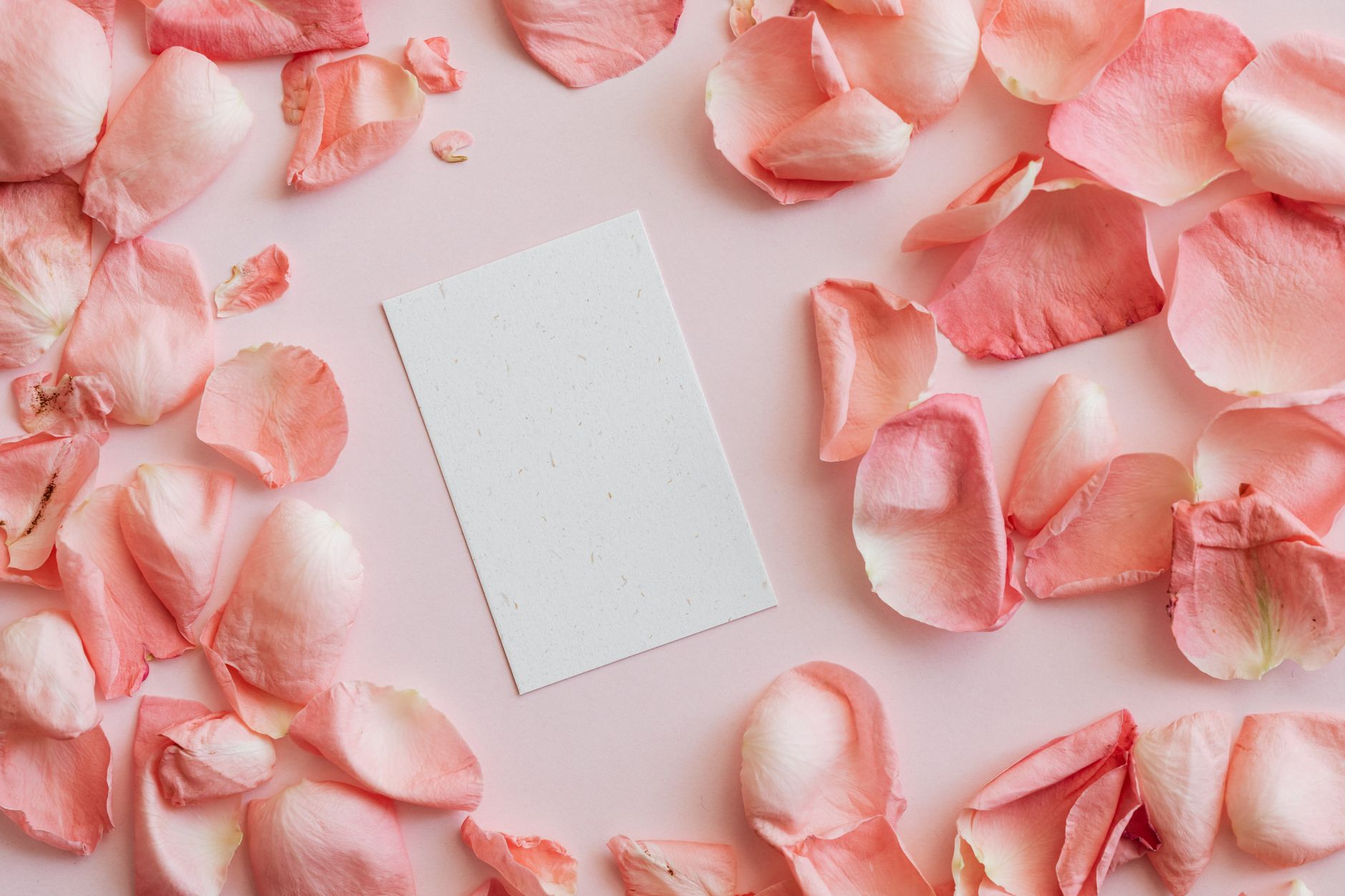 Artisan Eco Invitations