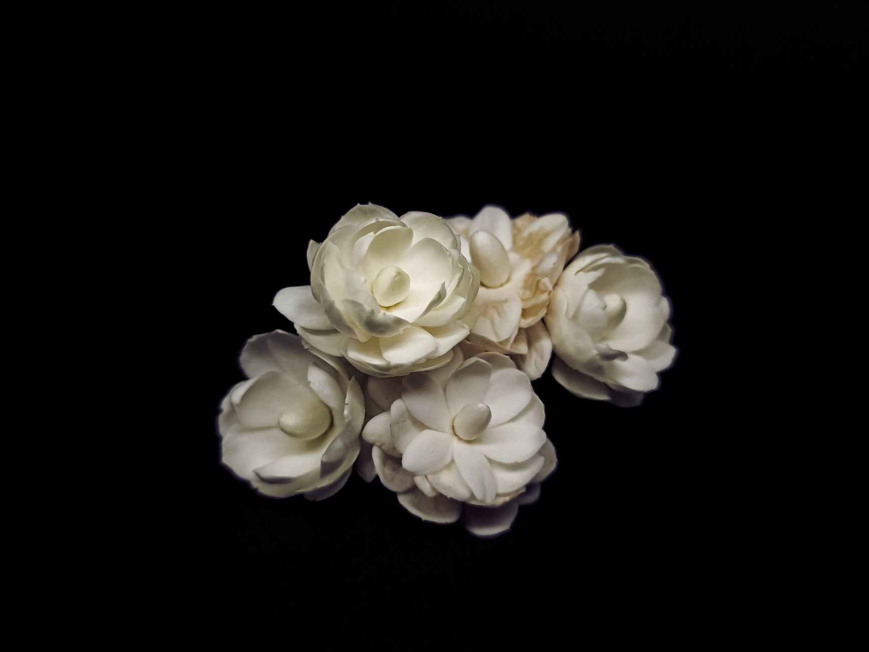 Jasmine Aroma Styling