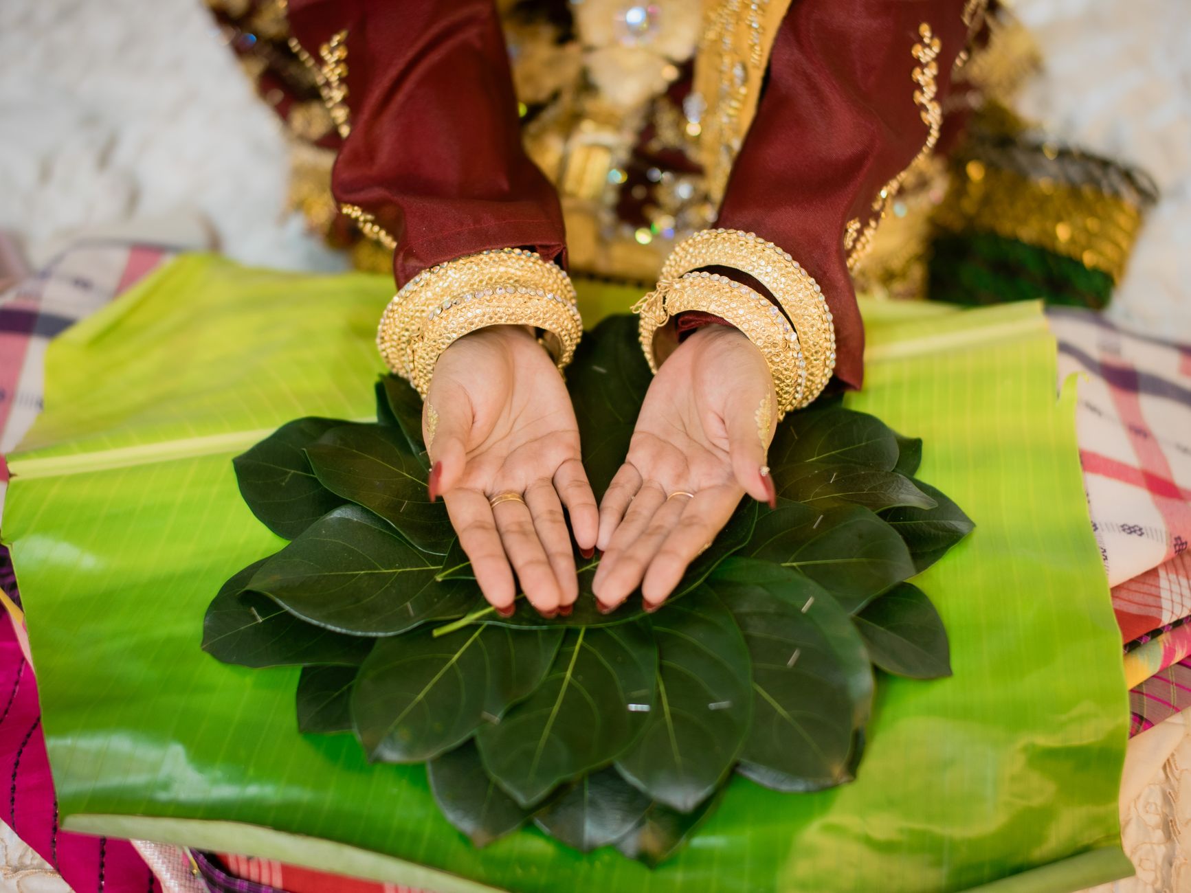 Kannada Betel Leaf Supplies