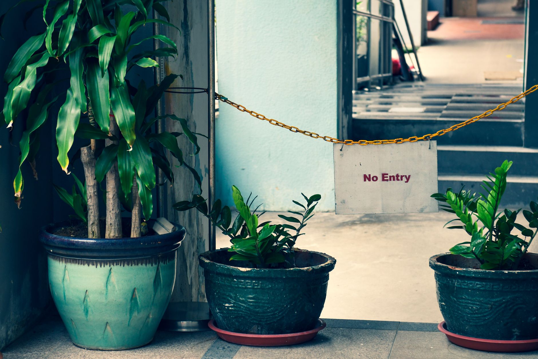 Green, Lush & Utterly Pondicherry