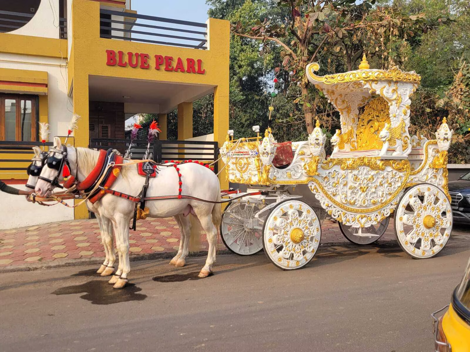Royal Ghodi Arrivals for Chennai Weddings