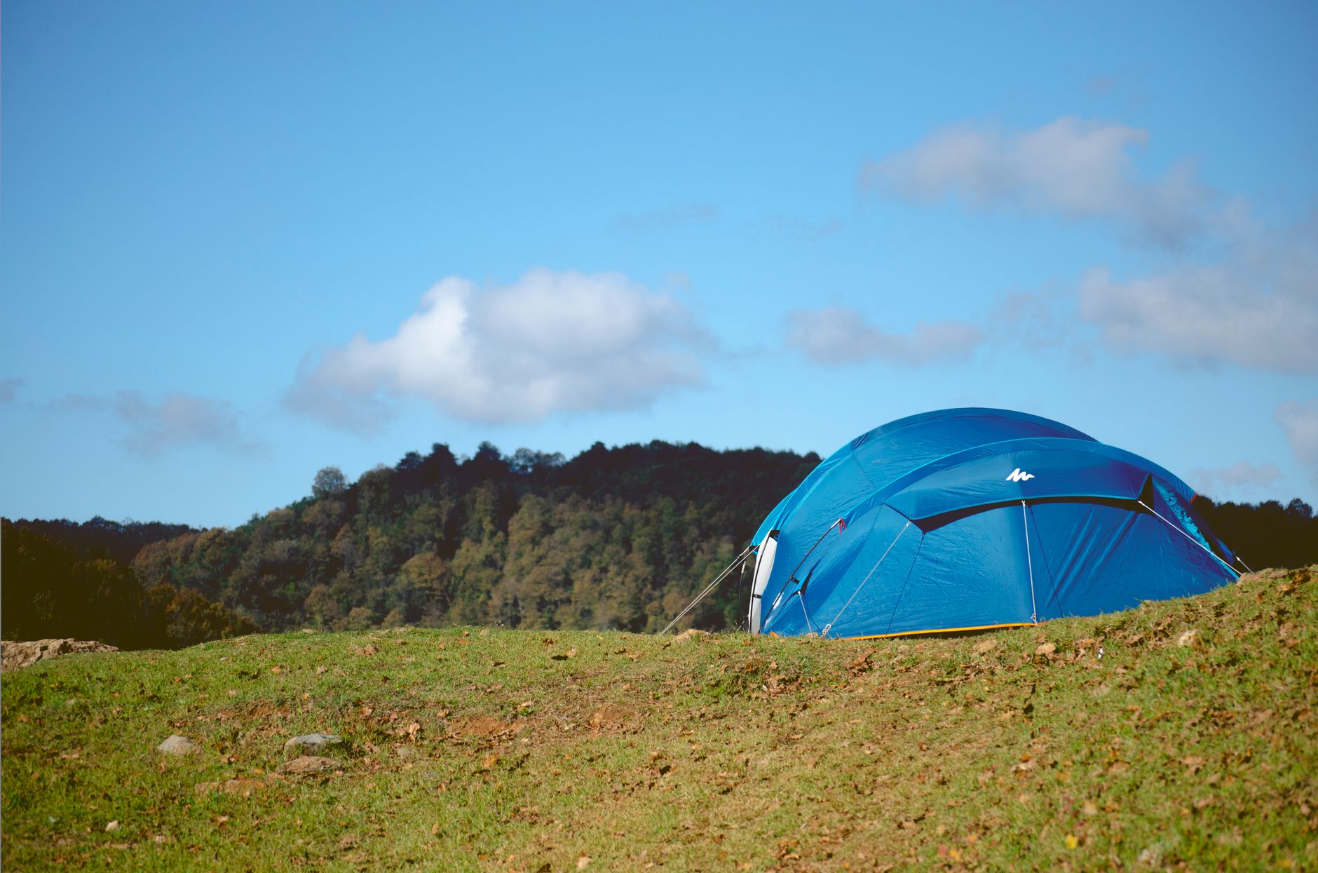 Camp, Celebrate & Connect with Nature