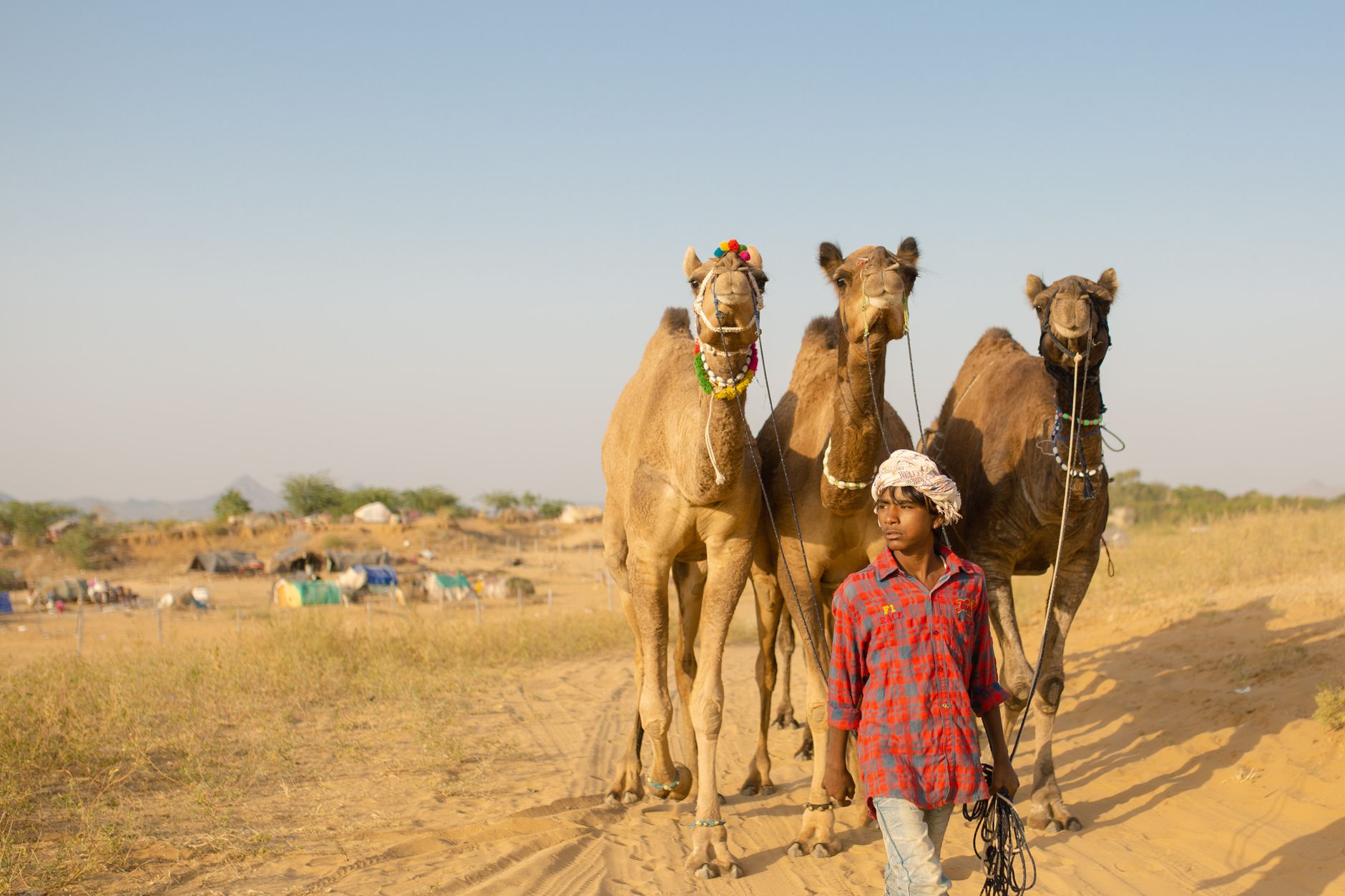 Destination Photo Printing