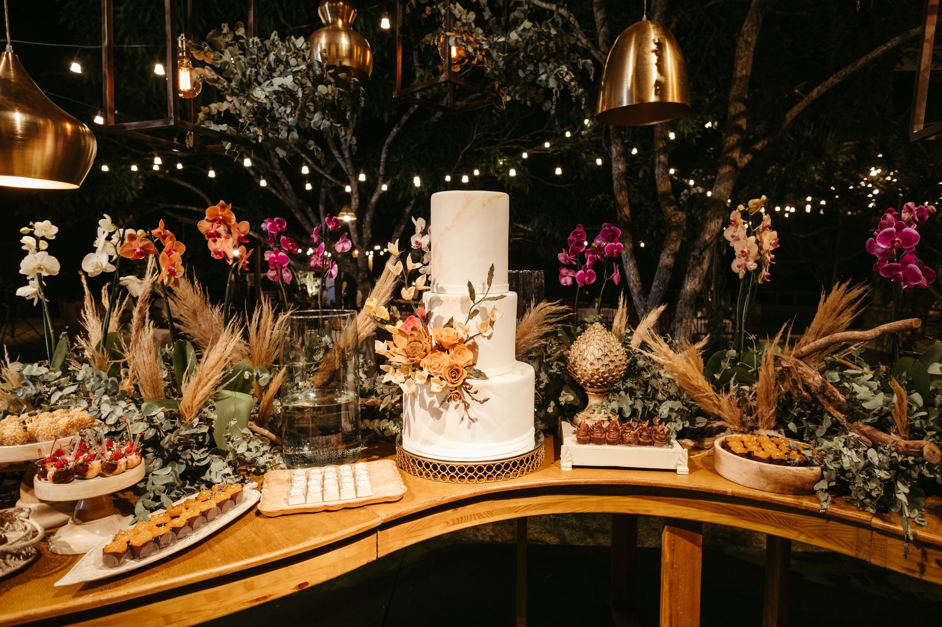 Orchid Decor Magic in Raipur