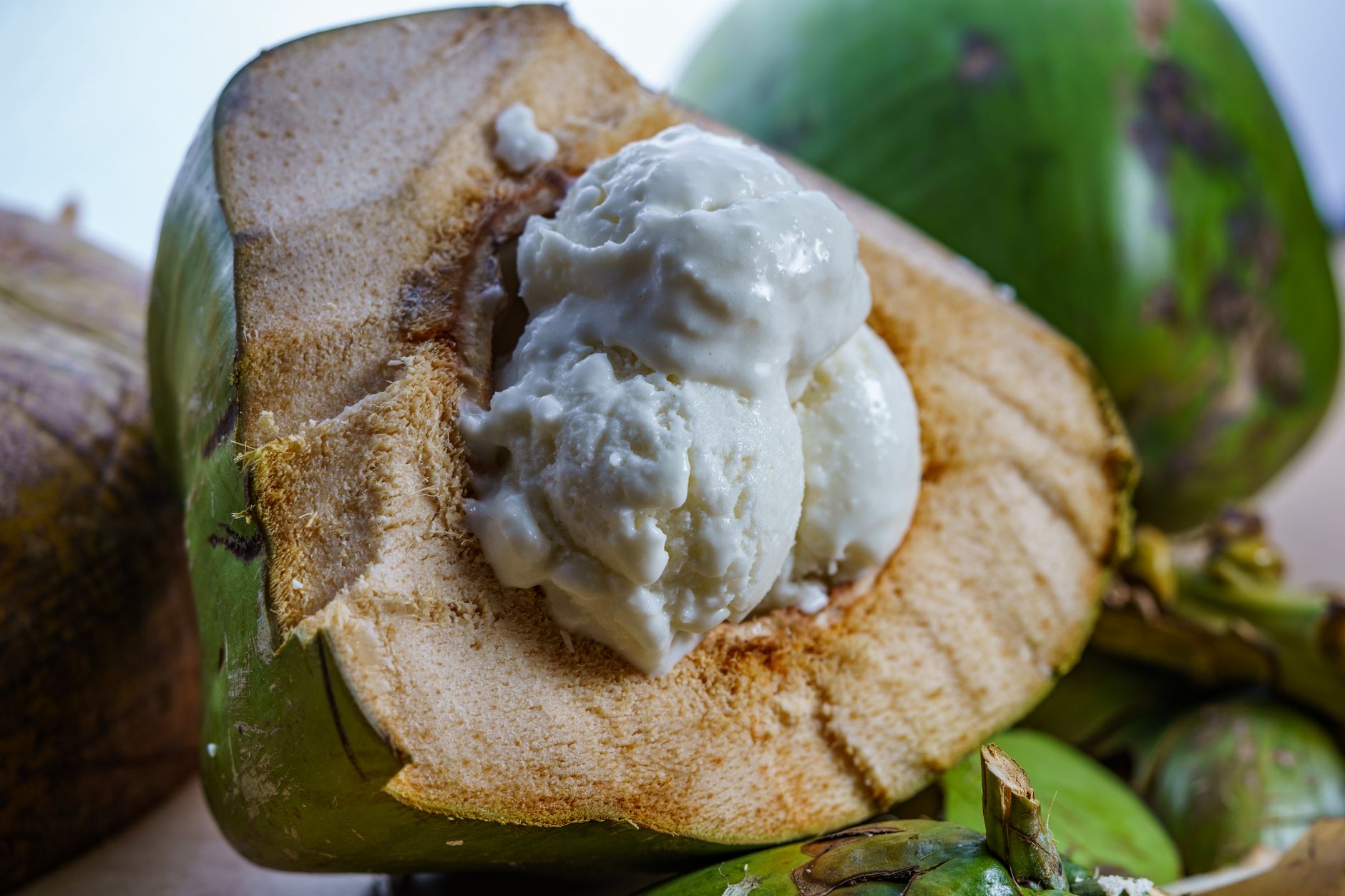 Dairy-Free Dessert Bliss in Raipur