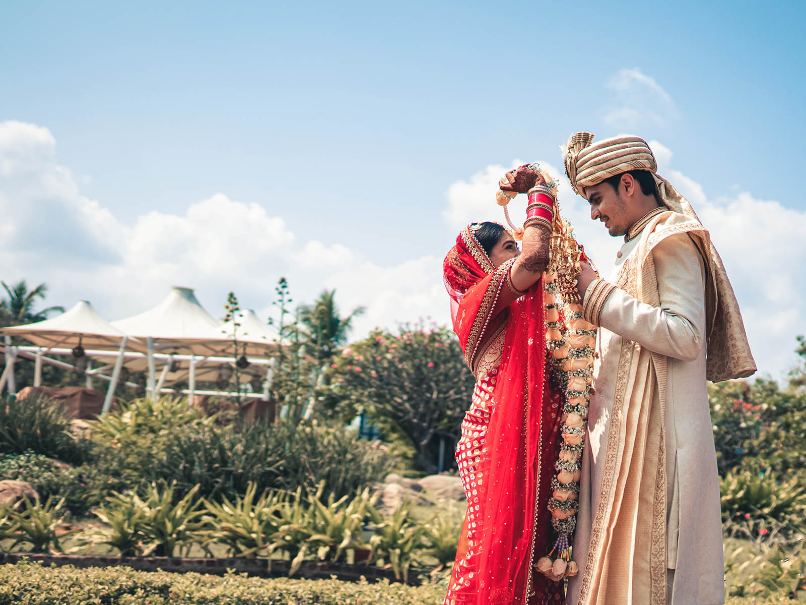 Sudiv & Radhika photo 4